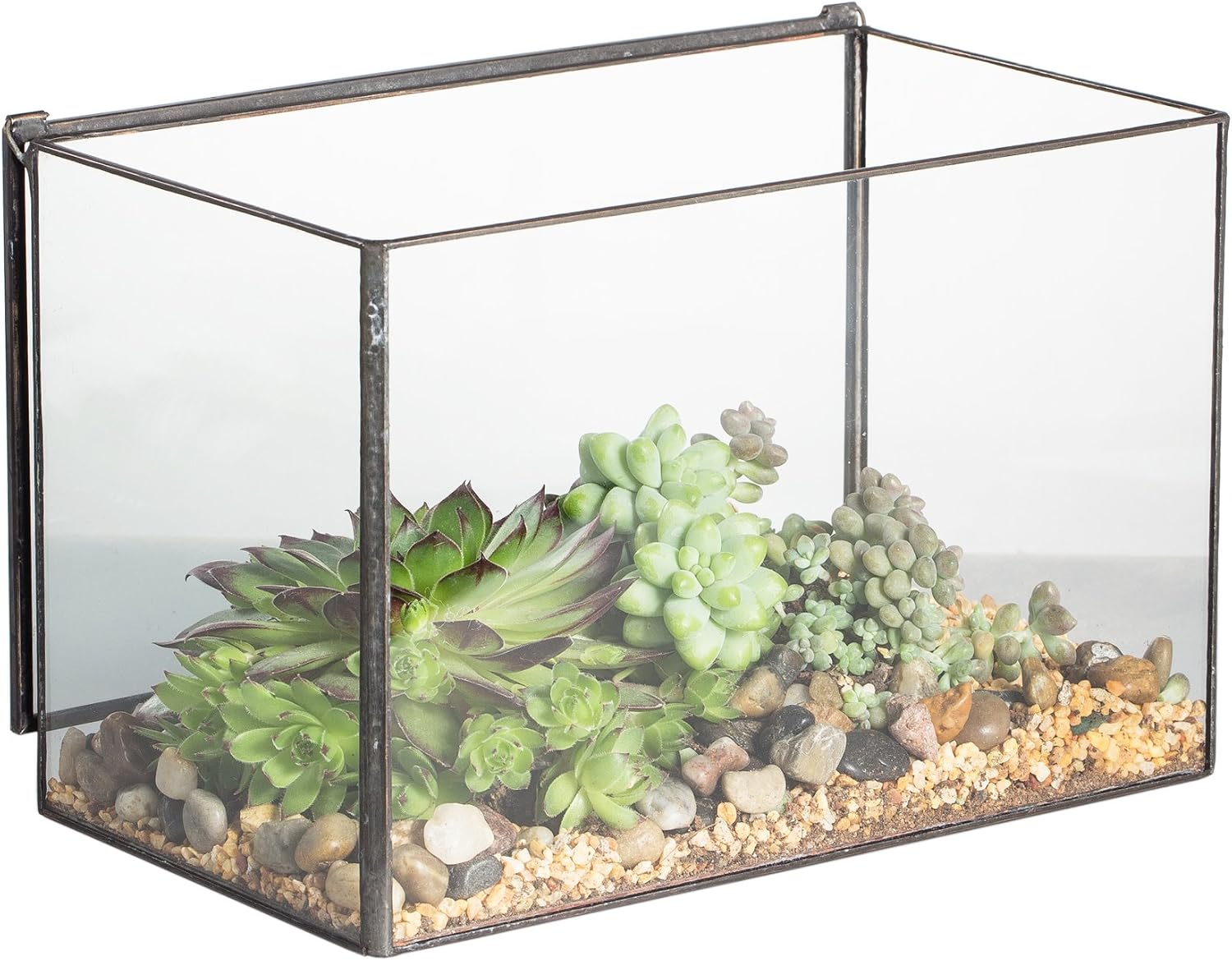 NCYP 6.7 x 4 x 4.8 Inch Small Glass Terrarium Planter with Lid, Clear Glass Box Container for Succulents, Air Plant, Moss, Ferns, Cactus