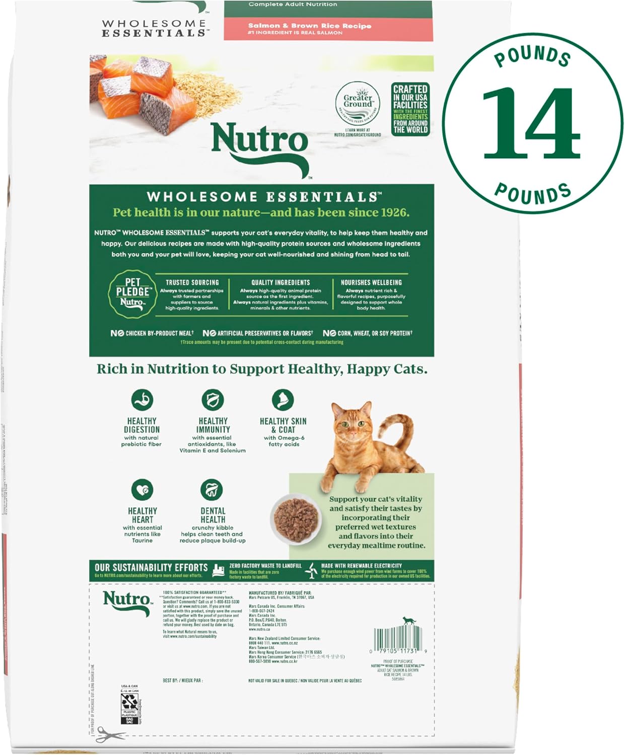 Nutro Wholesome Essentials Adult Dry Cat Food, Salmon & Brown Rice, 3 lb | Real salmon #1 ingredient, Omega-6 for skin & coat, prebiotic fiber for digestion, Vitamin E & Selenium antioxidants