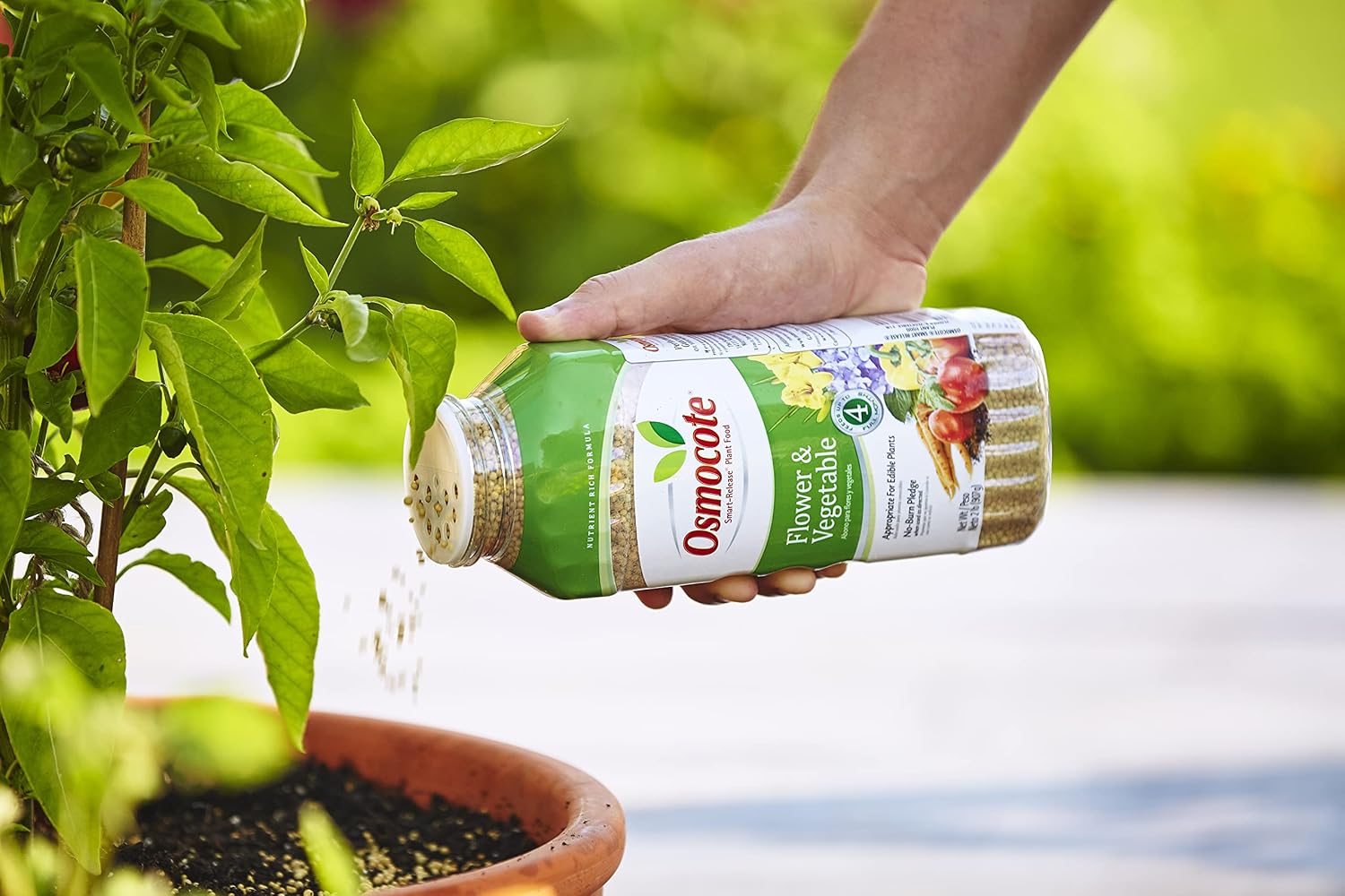 Osmocote Smart-Release Plant Food Flower & Vegetable, Plant Fertilizer, 2 lbs. (12-Pack)