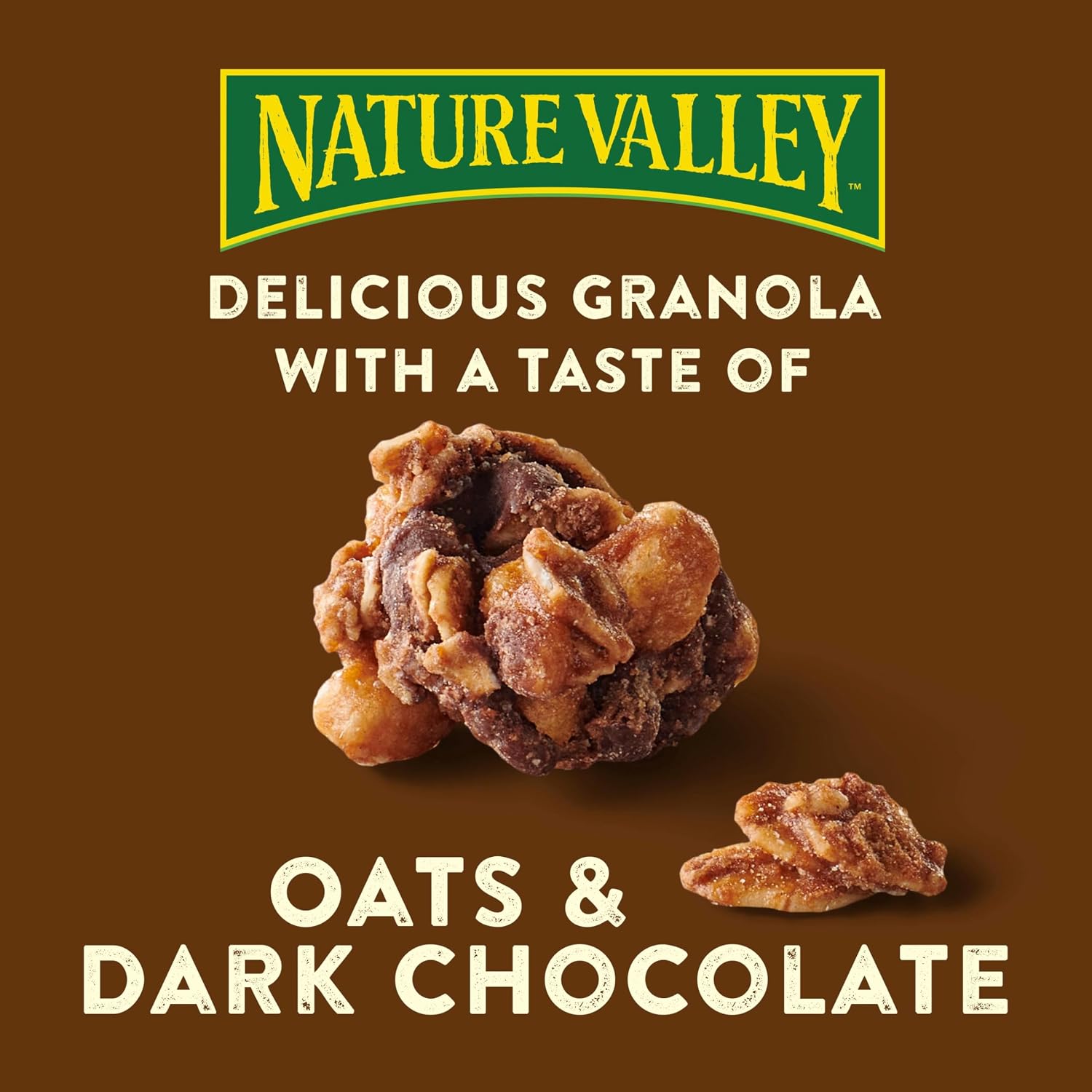 Nature Valley Oats & Honey Protein Granola, Resealable Pouch, 11 oz | 13g Protein & 33g Whole Grain per Serving, Good Source of Fiber, No Artificial Flavors or Colors