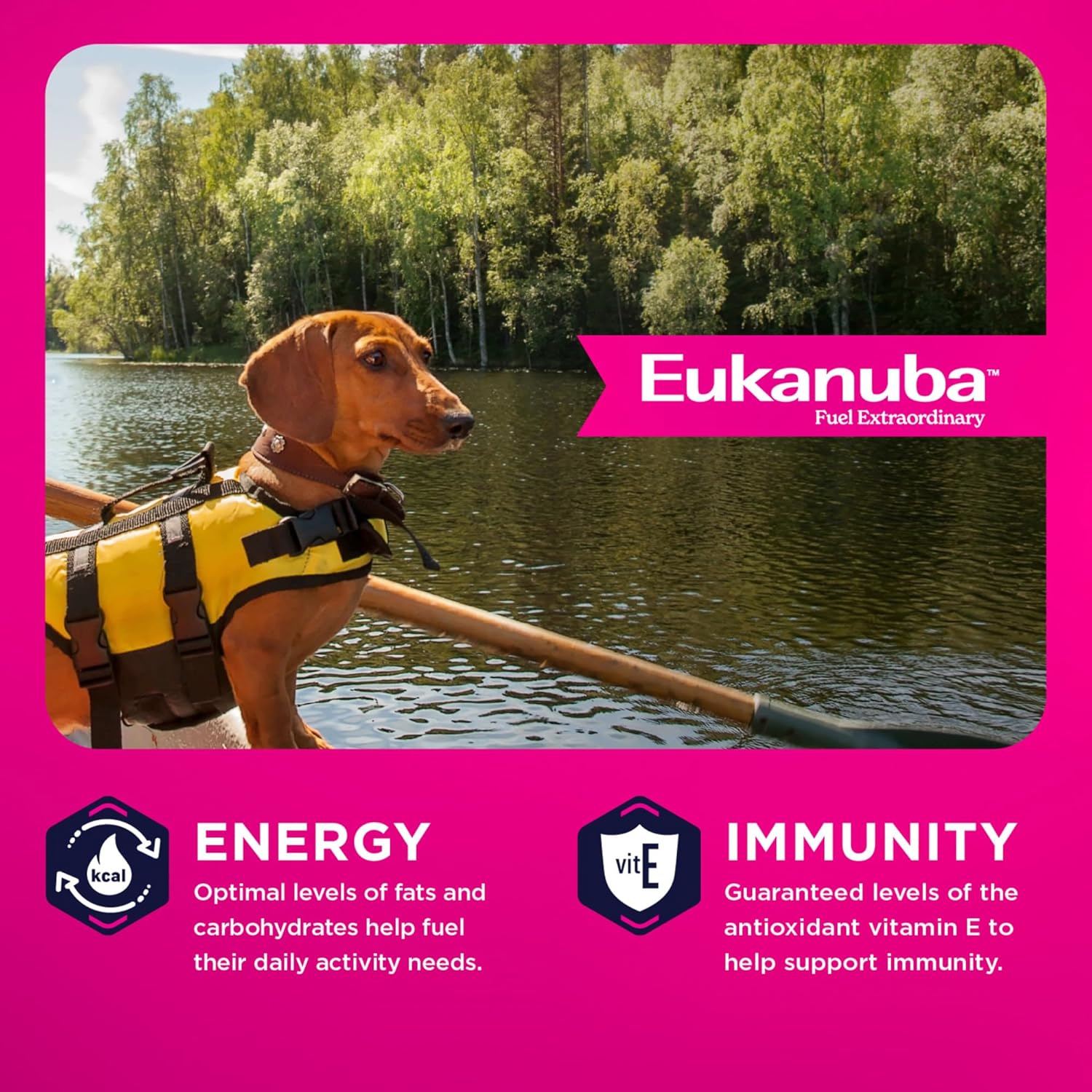 Eukanuba Adult Small Breed Dry Dog Food, 4.5 lb Bag