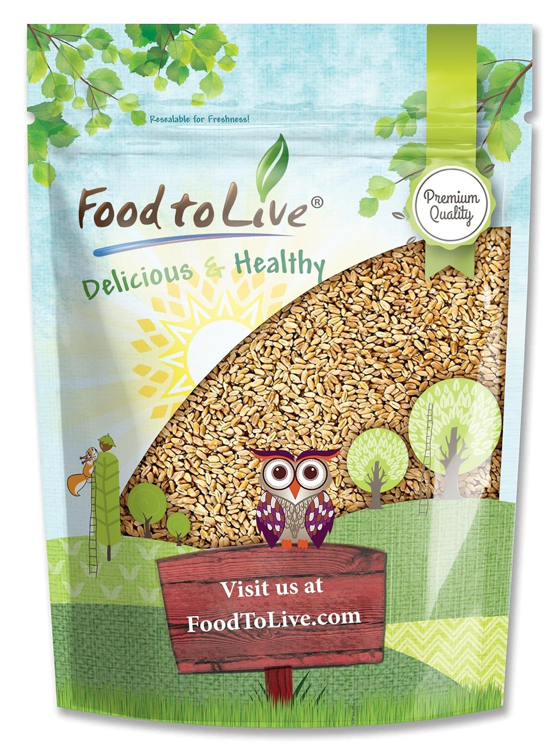 Food to Live Hard Red Wheat Berries, 3 Pounds – Sprouting for Wheatgrass, Kosher, Raw, Vegan, Bulk