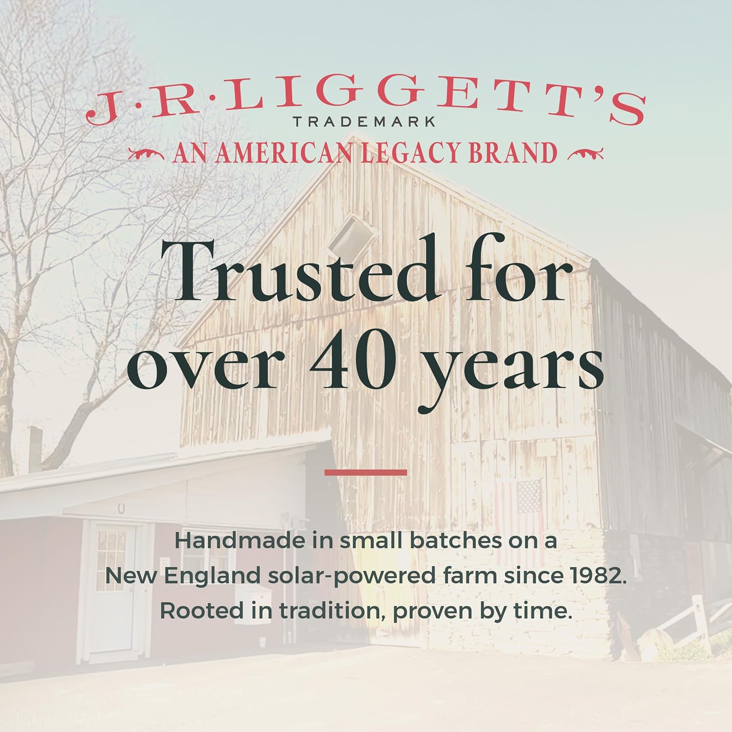J.R.LIGGETT'S Moisturizing Formula Shampoo Bar Restores Softness 3.5 oz | All-Natural Solid Shampoo Bar Hair Cleanser with Coconut Oil and Aloe Vera, Fragrance-Free, Sulfate-Free