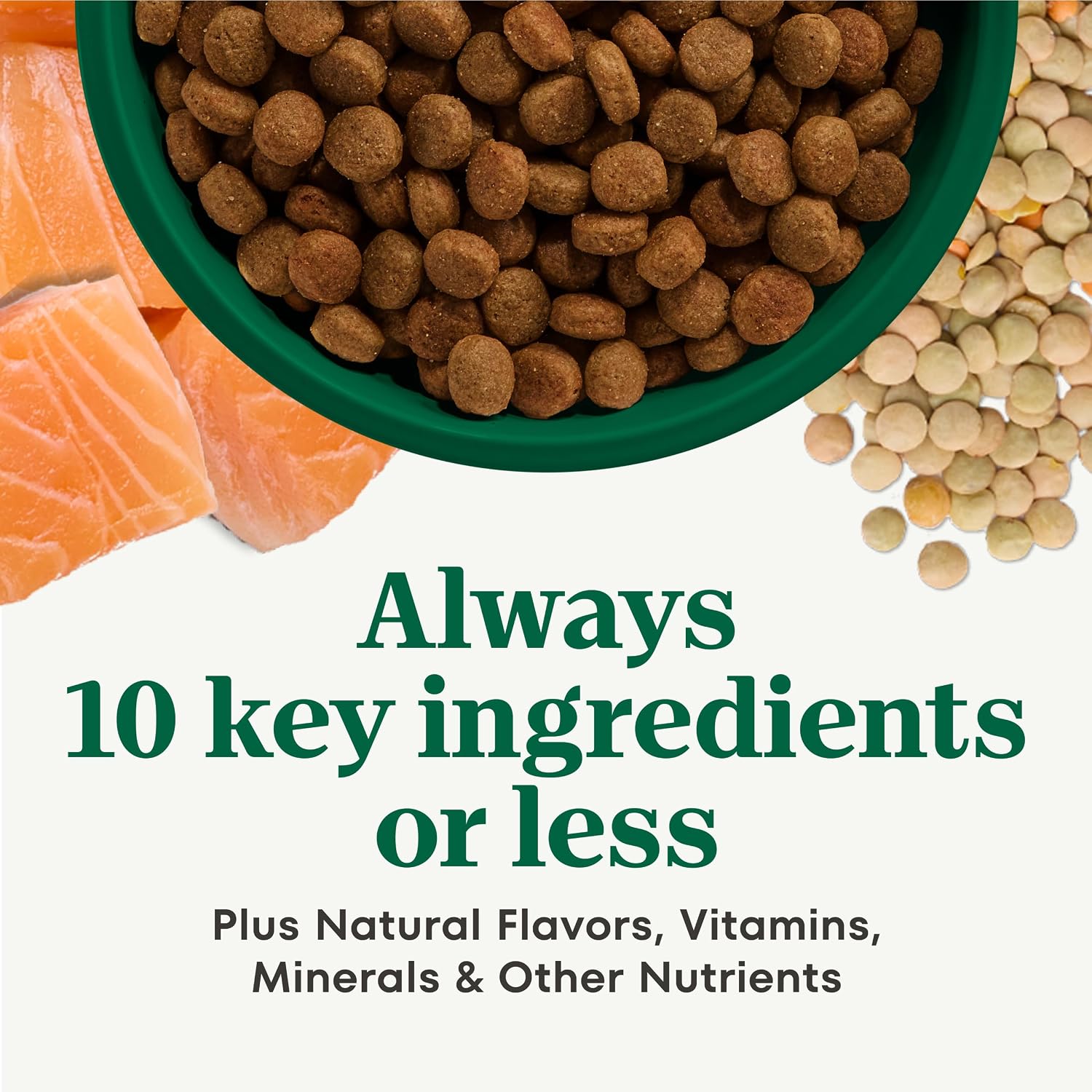 Nutro Limited Ingredient Diet Dry Dog Food, Lamb & Sweet Potato, 4 lb | Grain-free, Lamb #1 ingredient, 10 ingredients or less, no chicken/beef/corn, no wheat, no soy/dairy, supports skin & coat