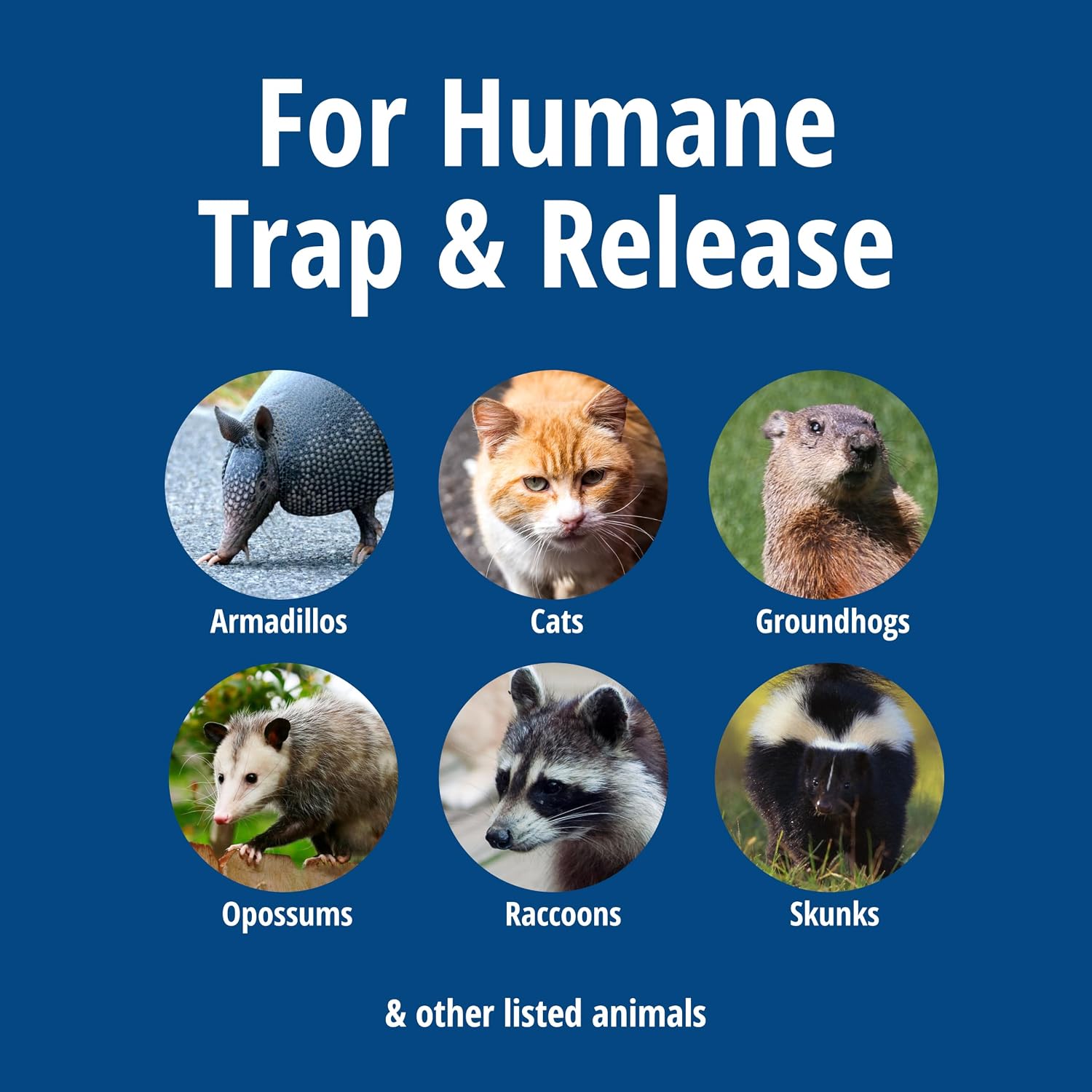 Havahart 1085 Large 1-Door Easy Set Humane Live Animal Trap for Armadillos, Cats, Groundhogs, Muskrats, Opossums, Raccoons