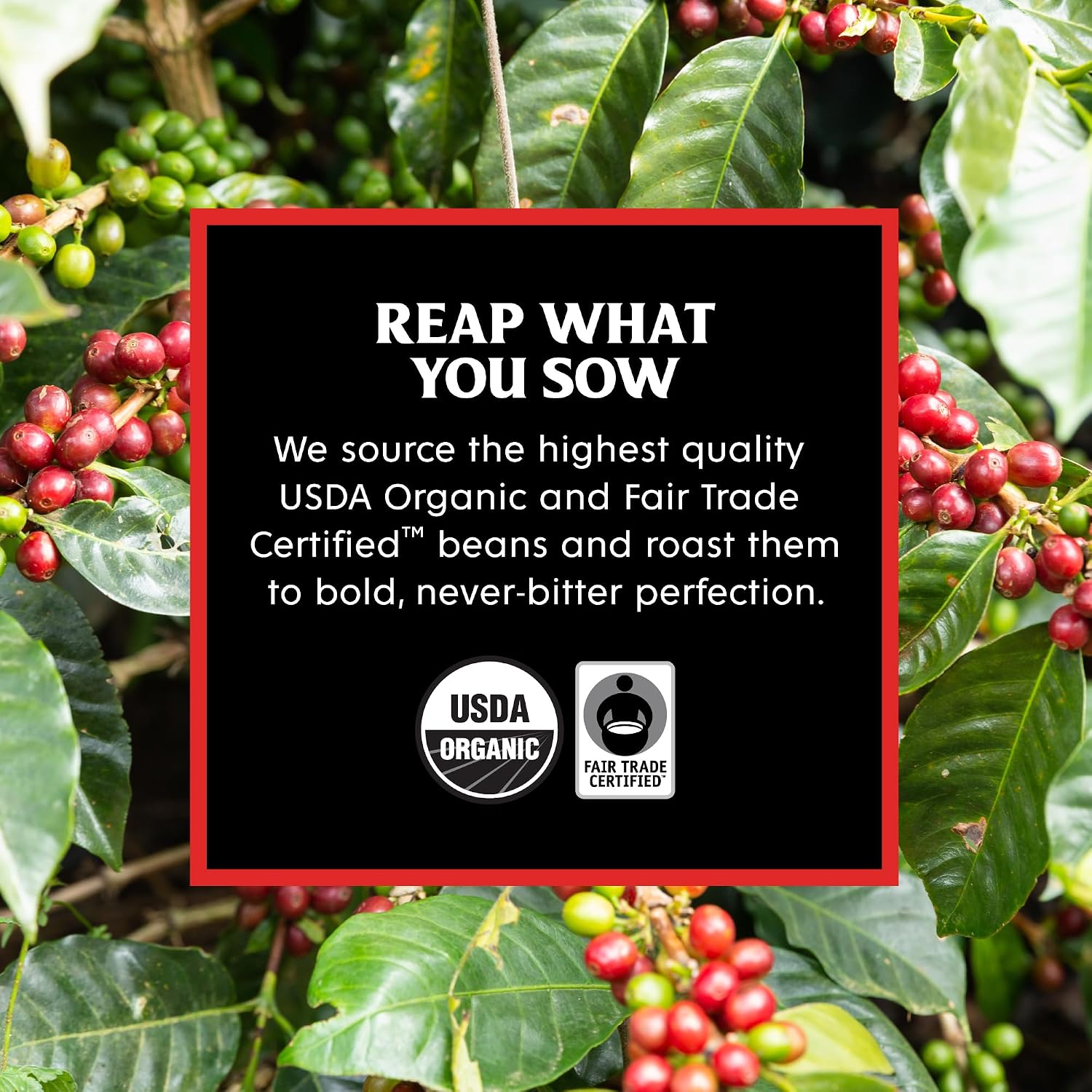 Death Wish Coffee Dark Roast Single Serve Coffee Pods, Organic, 50 Count | Fair Trade Arabica & Robusta, Baker's Chocolate & Cherry Notes, Low Acidity, Heavy Smooth Body, Bold & Intense