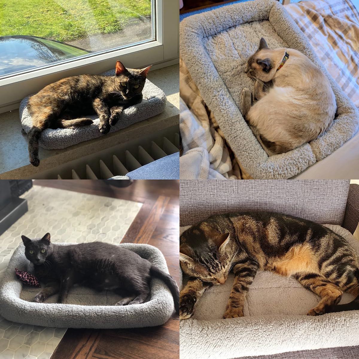 LESYPET Cat Bed for Indoor Cats, Soft Cat Cushion with Cat Pillow Around, Rectangle Kitten Pad Small Bed for Window Sill, 15'' x 10''