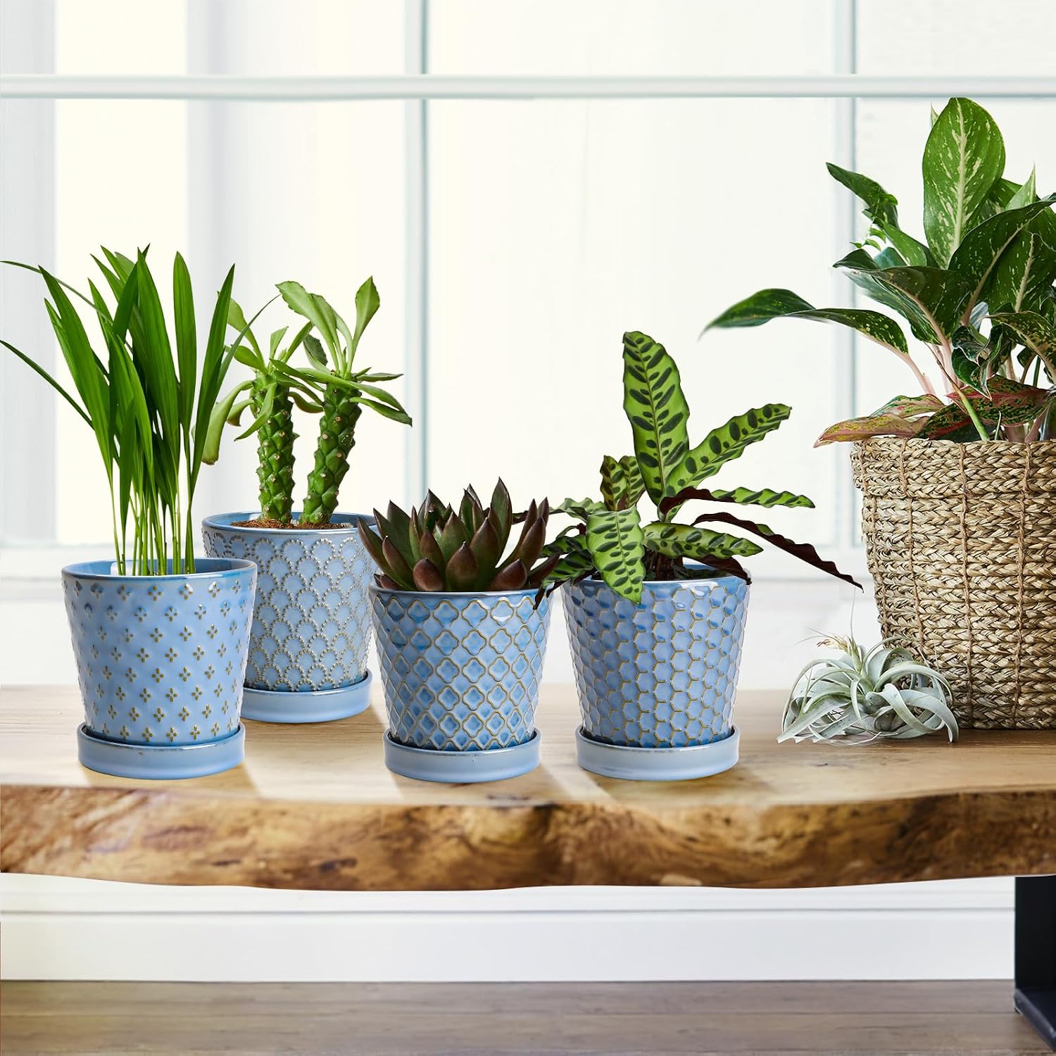 EFISPSS Ceramic Plant Pots, 5 Inch Planters with Drainage Holes and Ceramic Tray, Relief Design Flower Planter