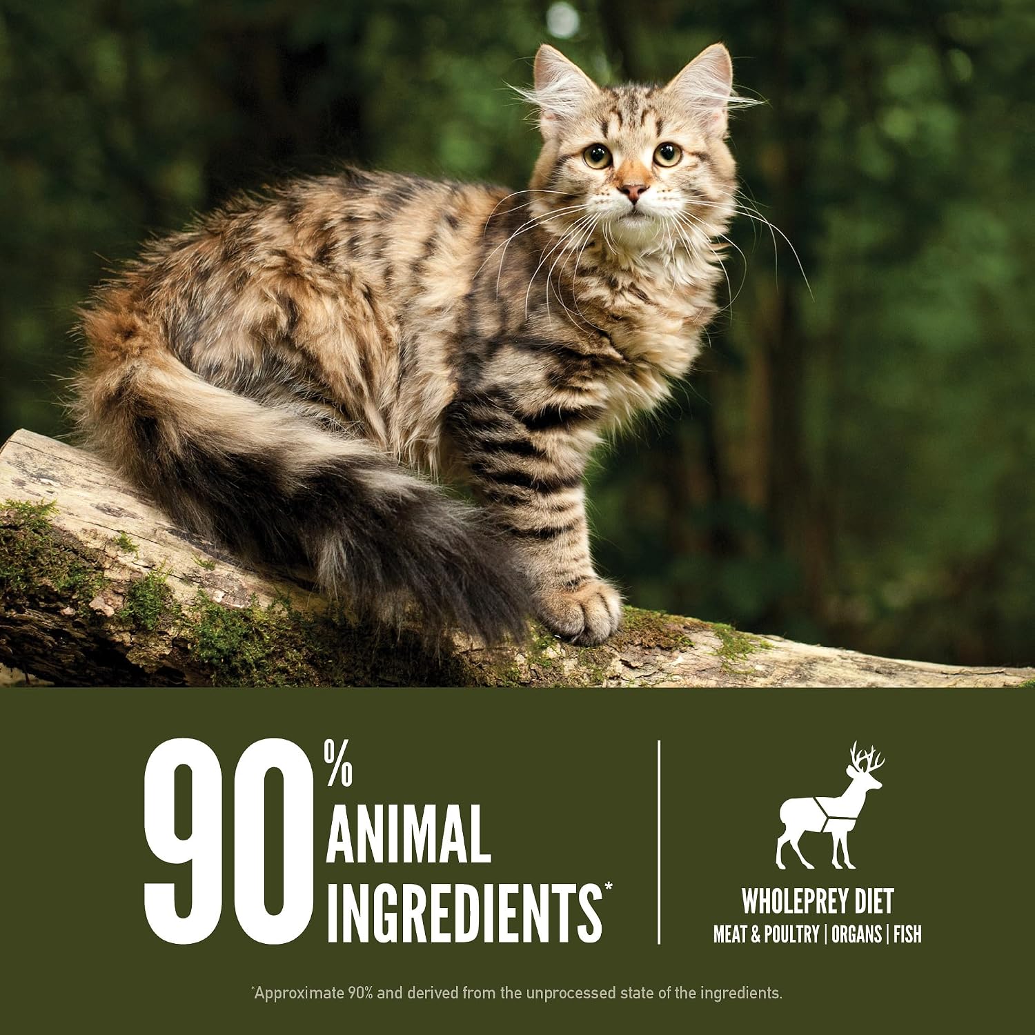 ORIJEN Grain Free WHOLEPREY Dry Cat Food Original Recipe 4lb. Bag | 90% Animal Ingredients, Freeze Dried, Fresh or Raw Ingredients, High Protein, Heart Health, Free-Run Poultry