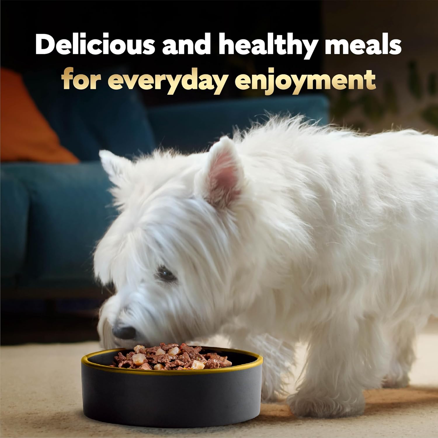 Cesar Wet Dog Food, Steak Lovers Variety Pack, 3.5 oz, 36 Count | Real meat #1 ingredient, easy peel trays, 100% complete & balanced, no fillers, no added sugar, no artificial flavors