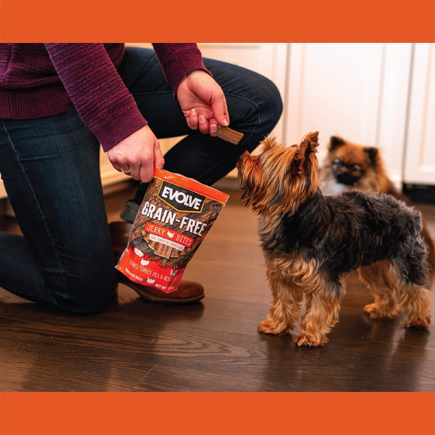 Evolve Grain Free Salmon and Sweet Potato Jerky Bites Dog Treats