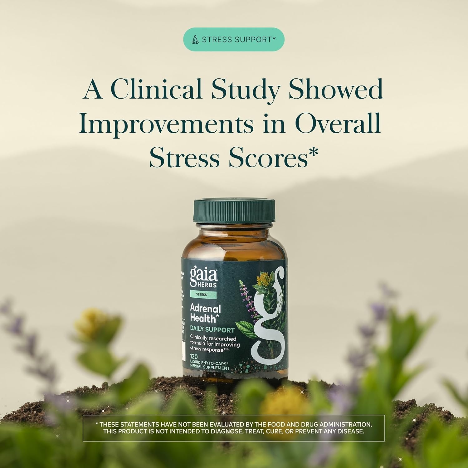 Gaia Herbs Adrenal Health Daily Support - Herbal Supplement with Ashwagandha, Holy Basil & Schisandra - Help Maintain Healthy Energy & Stress Levels* - 60 Vegan Liquid Phyto-Caps (30 Servings)