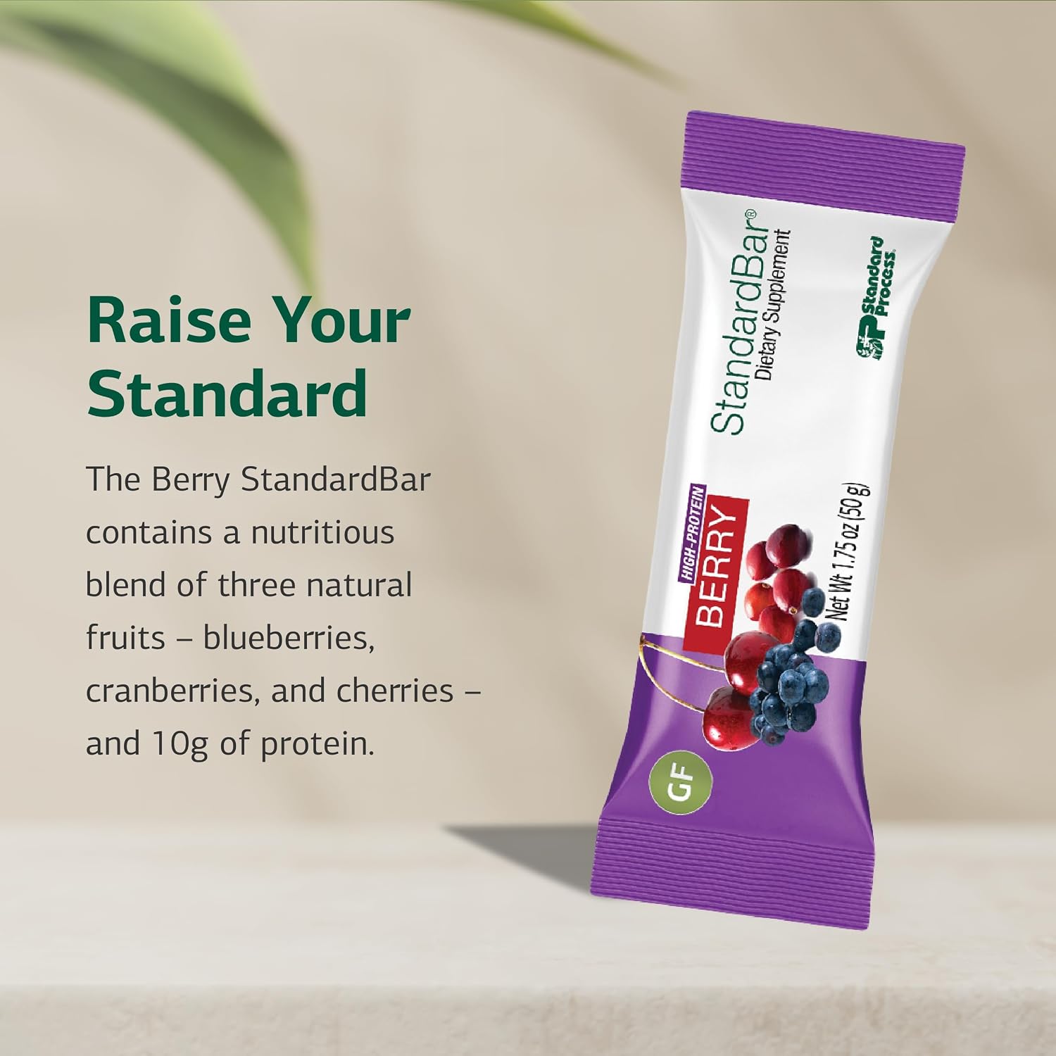 Standard Process StandardBar - Gluten-Free & Vegetarian Protein Bar - Whole Food-Based Bar with Blueberries