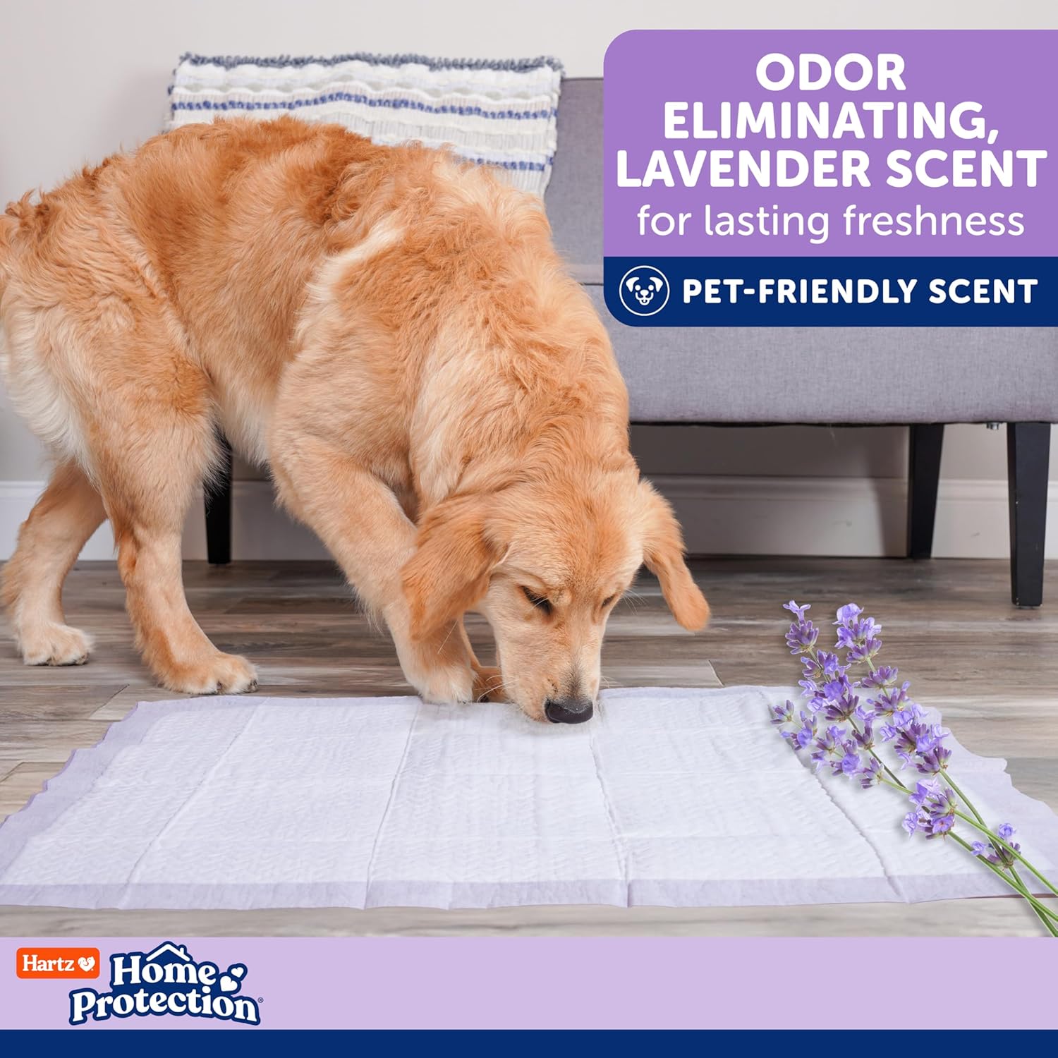 Hartz Home Protection Super Absorbent Odor Eliminating Lavender Scented No Leak Dog Pads, XXL 20 count