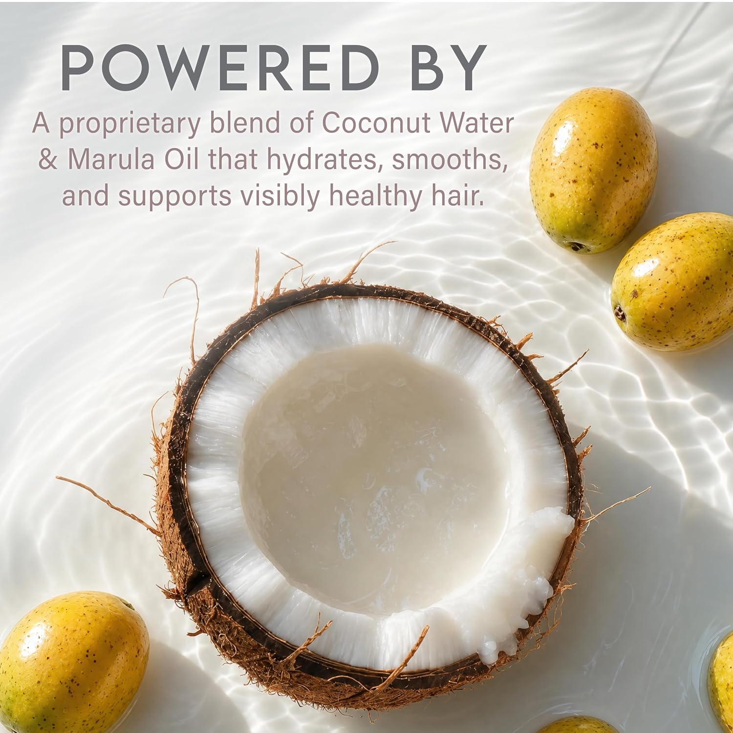 ALURAM Coconut Water Purple Shampoo for Women, Boosts Brightness, Banishes Brass, for All Hair Types