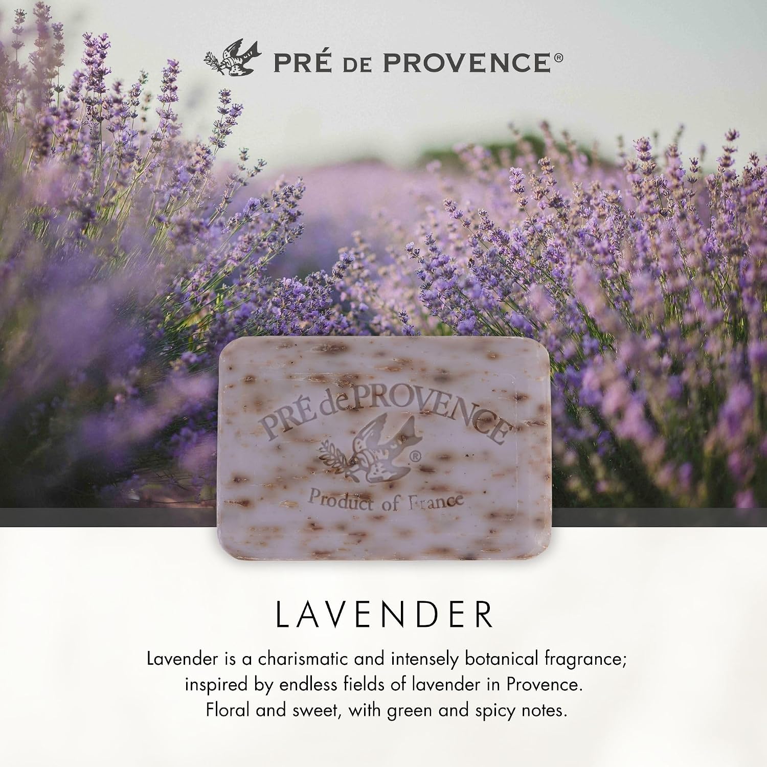 Pre de Provence Artisanal Soap Bar, Natural French Skincare, Enriched with Organic Shea Butter, Quad Milled for Rich, Smooth & Moisturizing Lather, Linden, 5.3 Ounce