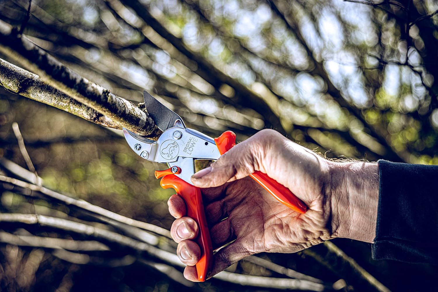 Original LÖWE 10 Professional Anvil Pruning Shears 10.107 with Bypass Geometry - Innovative Sharp Shears with Ergonomic Handles and Non-Stick Steel