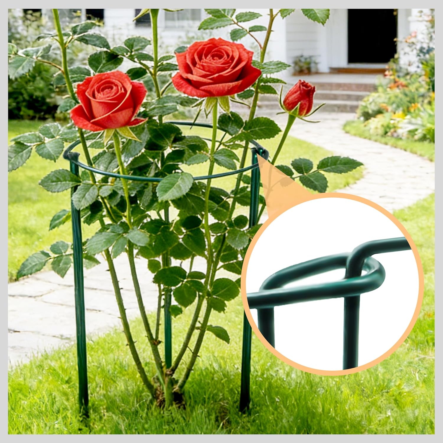 TCBWFY 10 Pack Garden Plant Support Stakes, 10" Widex16 High Heavy Duty Interlinked Half Round Peony Support Ring Cage for Indoor Outdoor Plants
