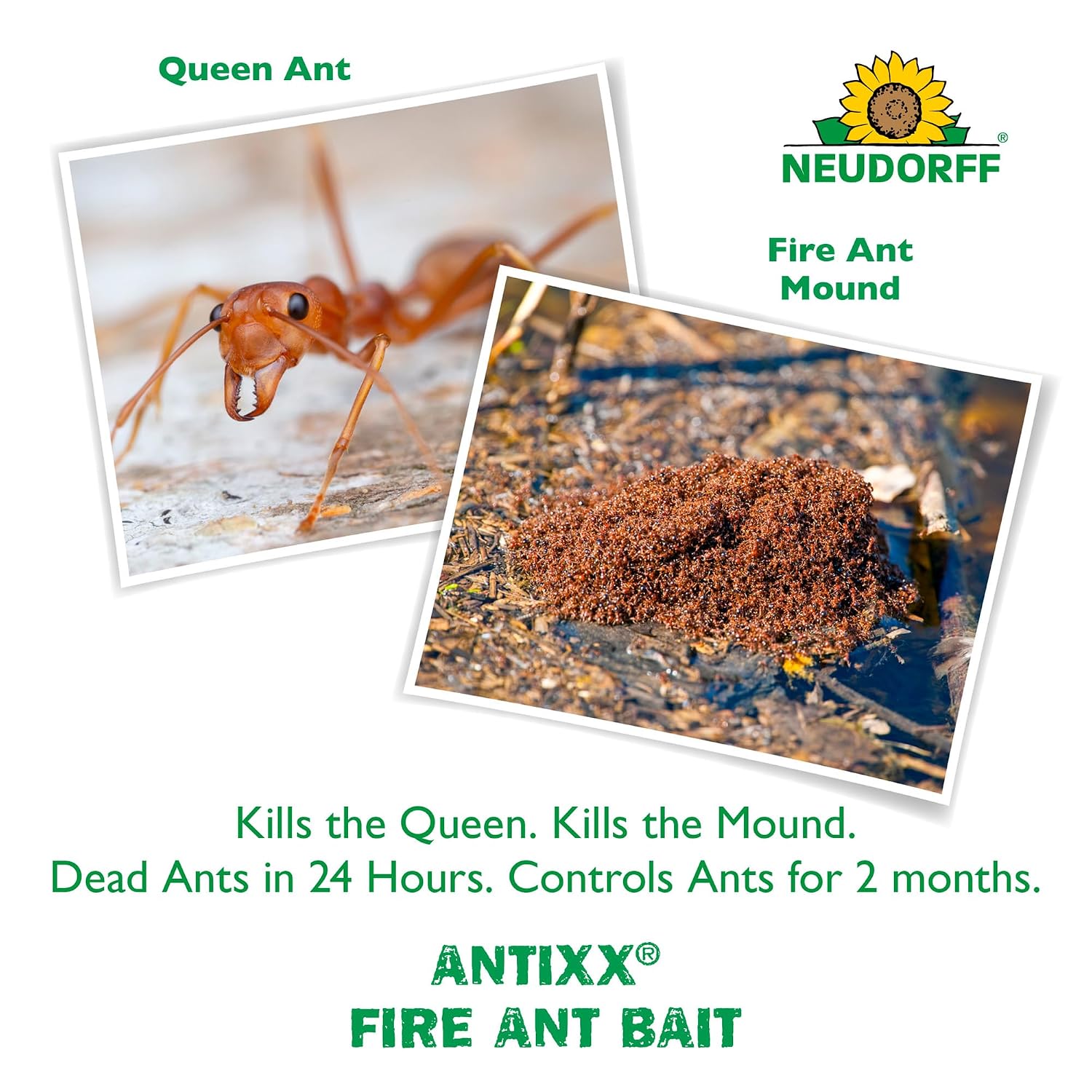 Neudorff Antixx Fire Ant Bait Controls Fire Ants for up to 2 Months 2 LBS.