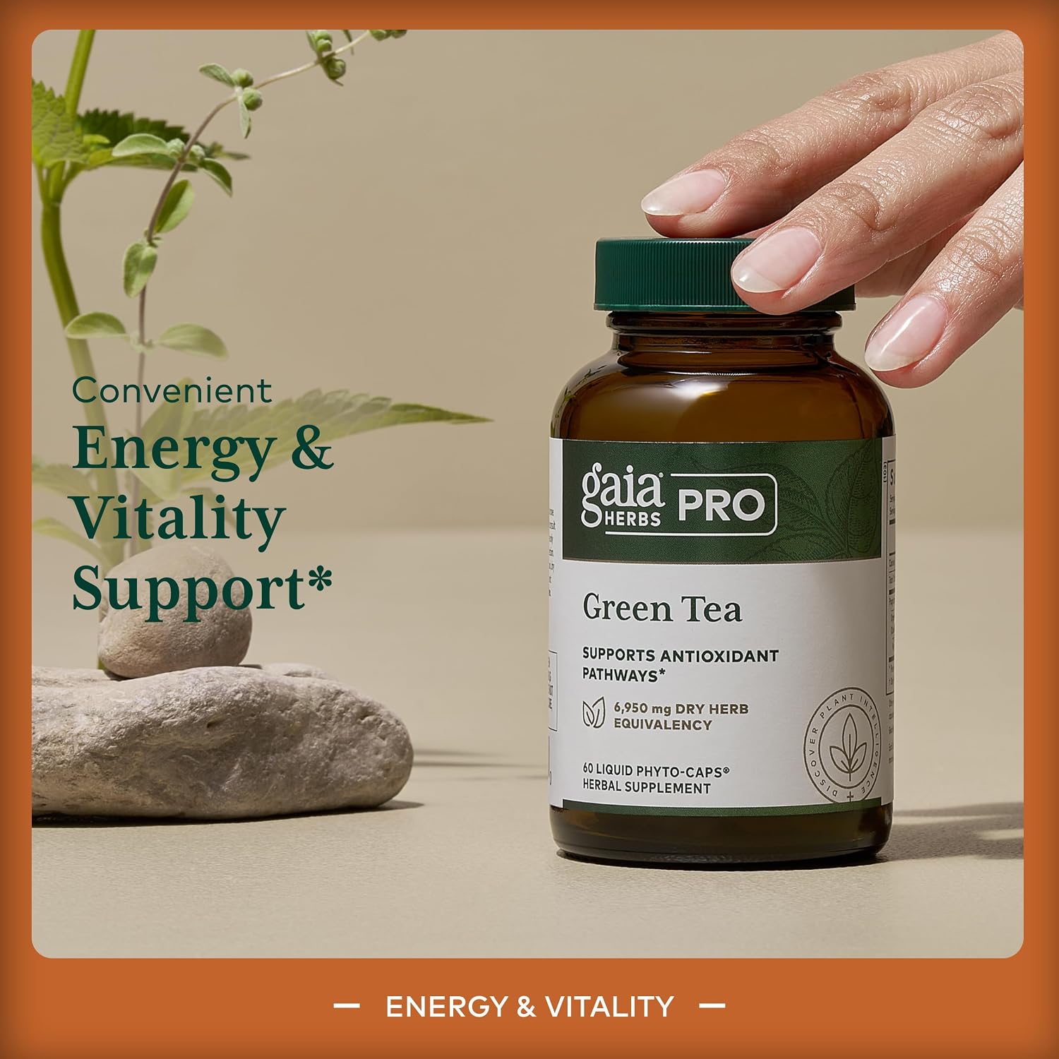 GAIA HERBS PRO Green Tea - Heart Health & Antioxidant Support Supplement* - Health Supplement with Green Tea Leaf Extract - Vegan, Gluten-Free