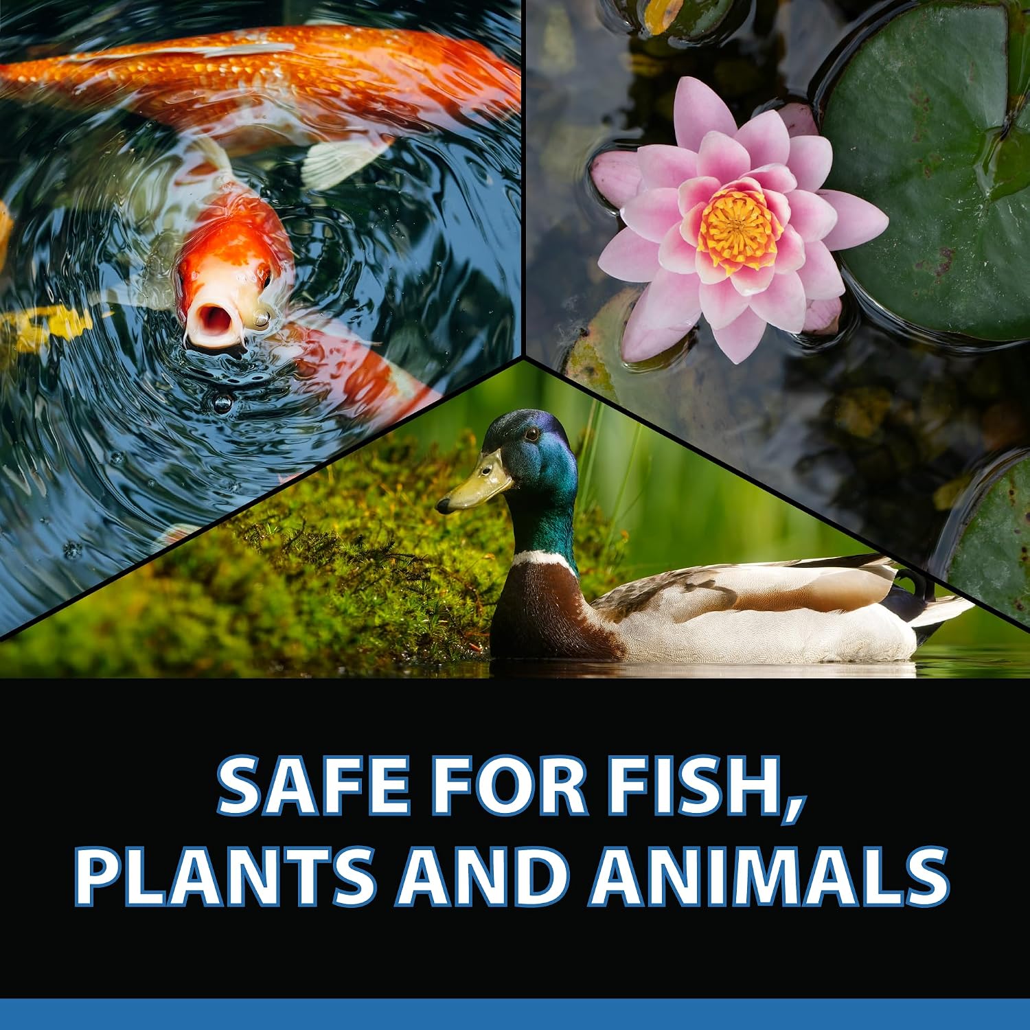 CrystalClear Barley Extract Pond Treatment, Water Clarifier, 2.5 Gallon | Natural for Fountains, Water Gardens & Koi Ponds, clears cloudiness and is Fish & Plant Safe