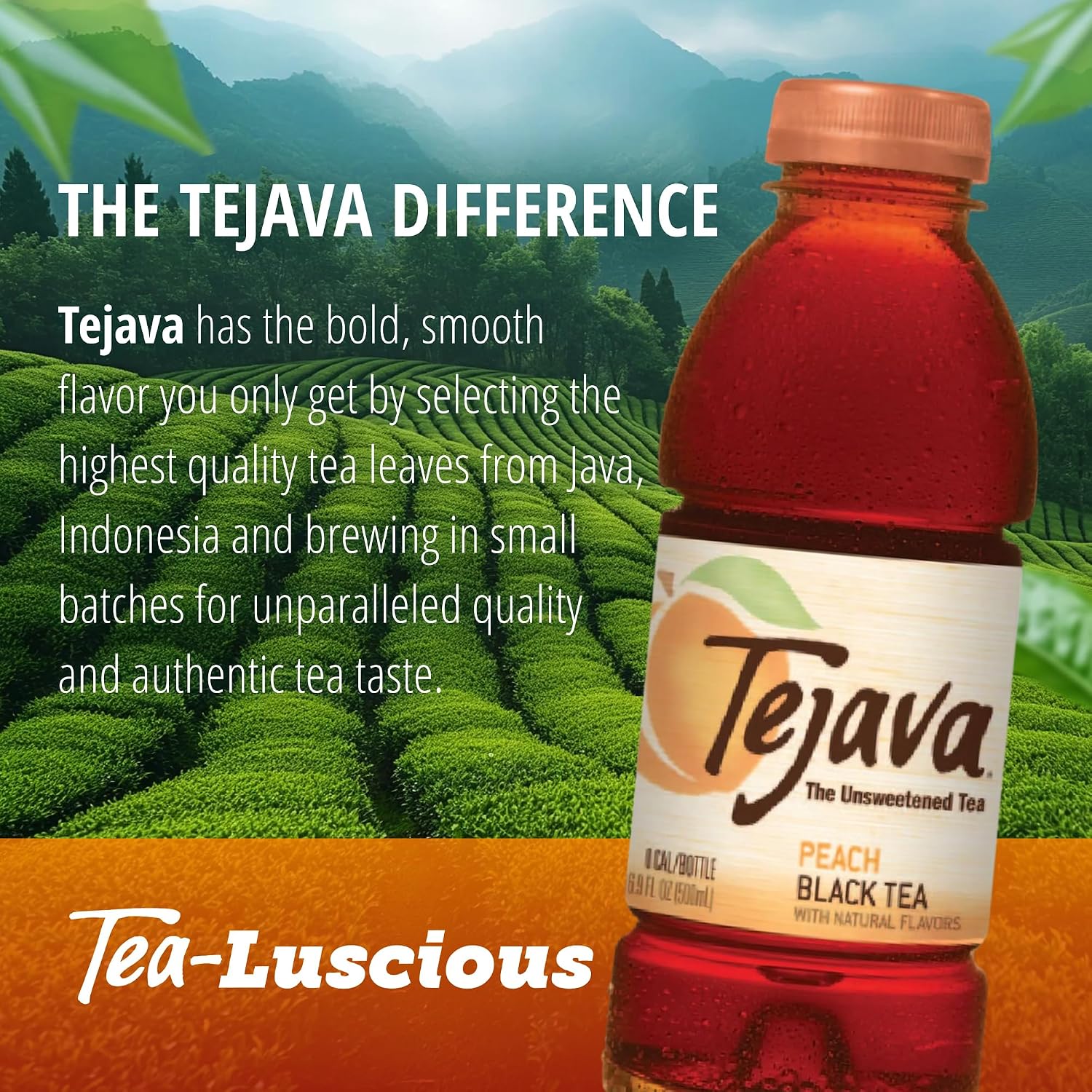 Tejava Pineapple Mango Unsweetened Black Iced Tea, 16.9 fl oz, Pack of 12