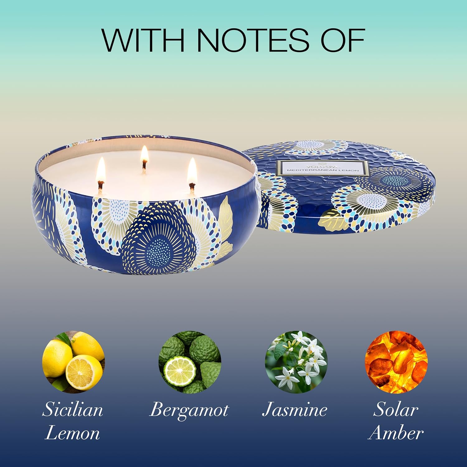 Voluspa Santal Vanille, 3 Wick Tin Candle, 12 oz, 40 Hour Burn Time, Coconut Wax for Clean Burning, Handcrafted in the USA