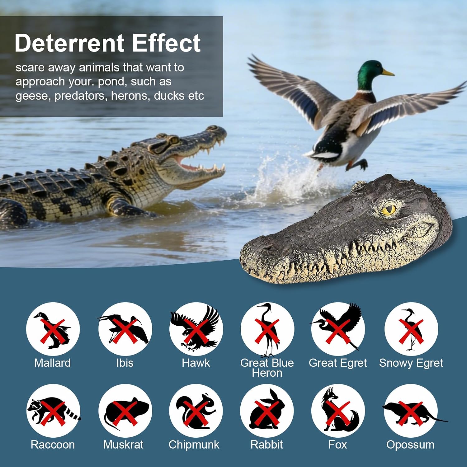 Floating Alligator Head