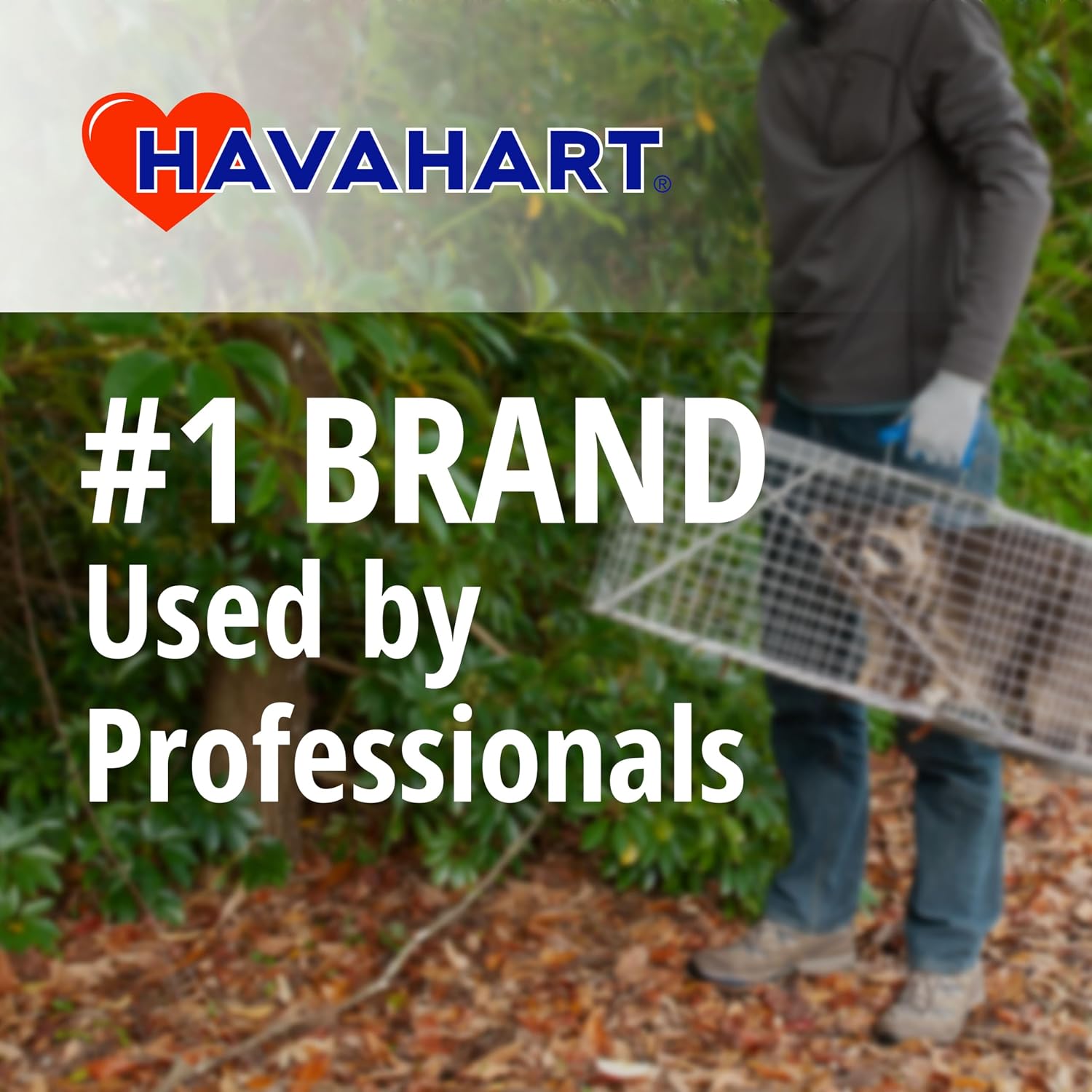 Havahart Large 1-Door Live Animal Trap for Raccoons, Cats, Bobcats, Beavers | Heavy Duty Humane Catch and Release Cage Trap for Outdoor Pest Control