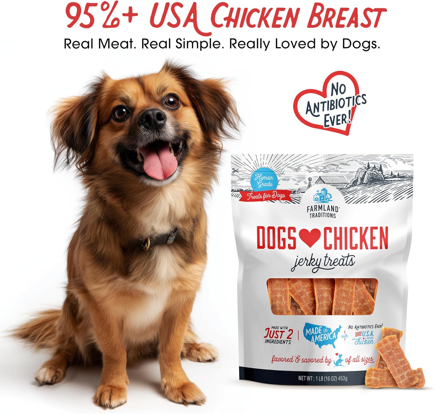 Farmland Traditions Filler Free Dogs Love Chicken Premium Jerky Treats for Dogs, 3 lb. Bag