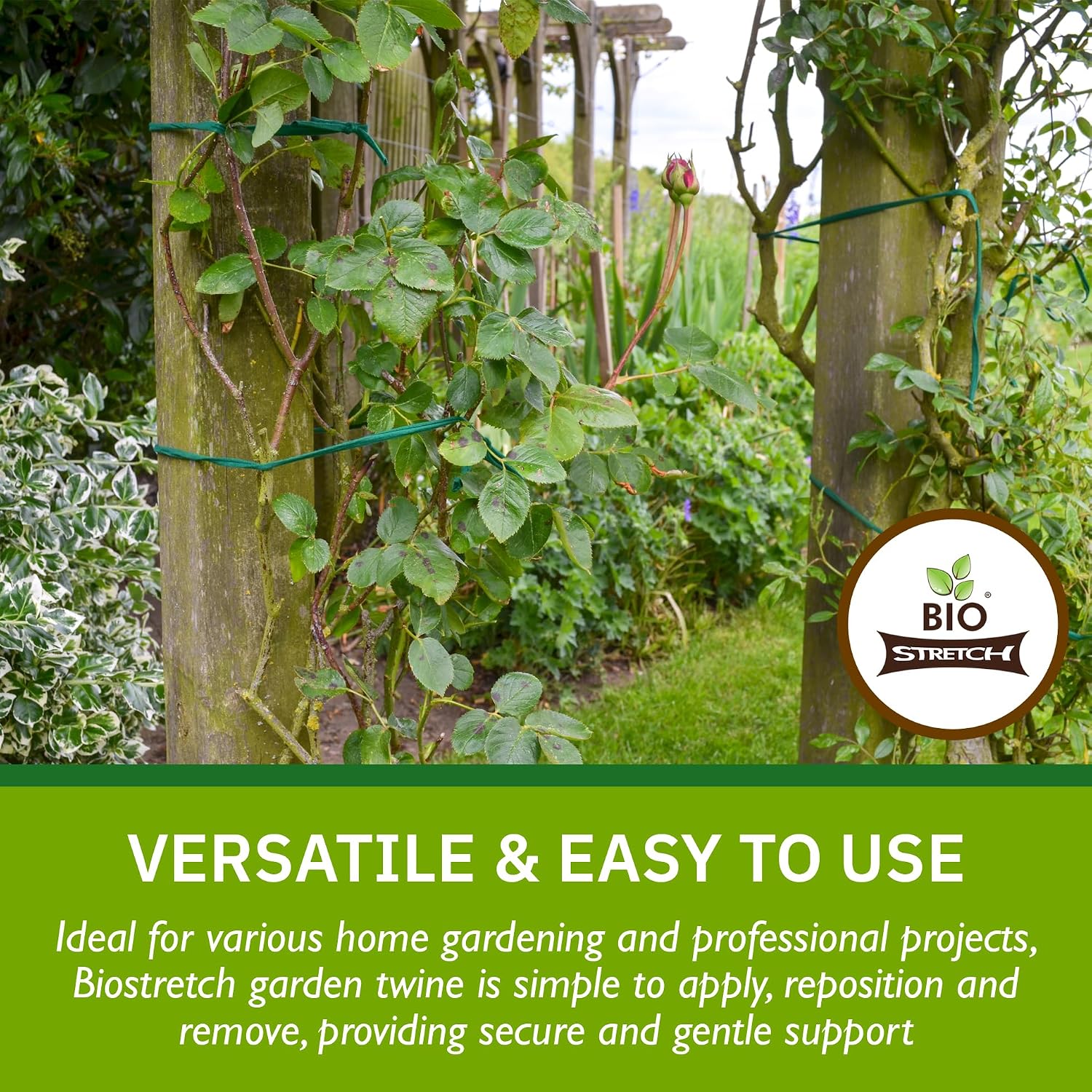 Bio-Stretch Soft Garden Twine & Plant Ties for Outdoor Plants, 1 Ball Green
