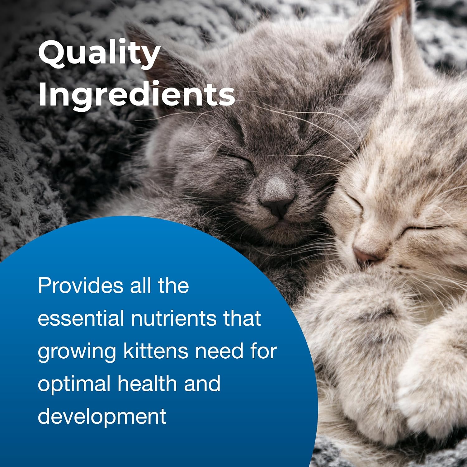 Pet-Ag KMR Kitten Milk Replacer Powder - 12 oz, Pack of 2 - Powdered Kitten Formula with Prebiotics