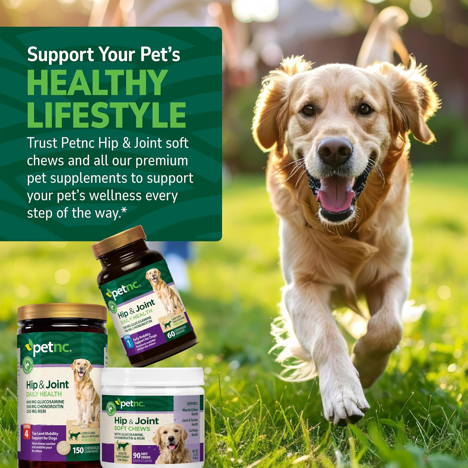 PetNC Natural Care Hip and Joint Soft Chews for Dogs, 90 Count - 27591 | Glucosamine Chondroitin MSM Dog Chews with Hyaluronic Acid, Liver Flavored Bone & Joint Support Supplement, For All Breeds