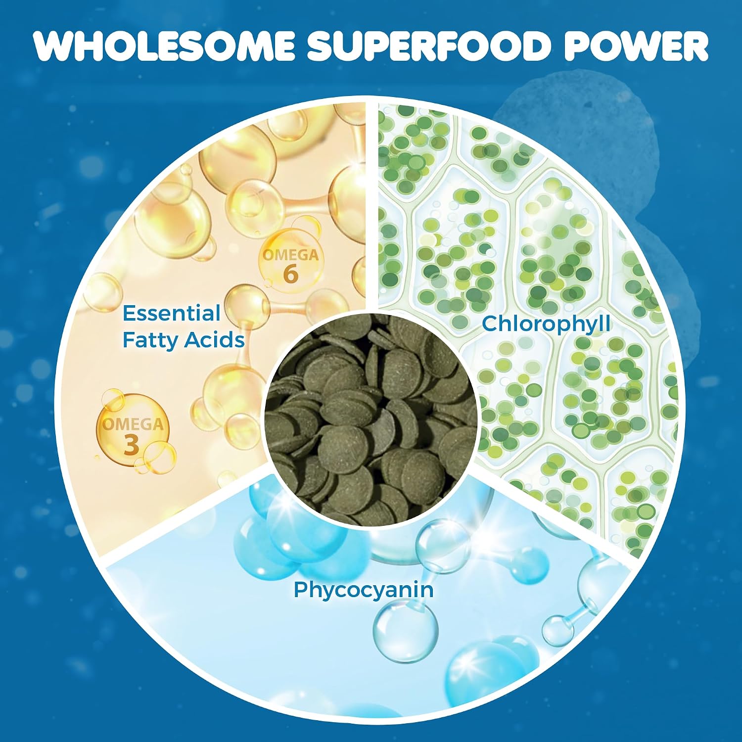 SunGrow Spirulina Protein Wafers for Shrimps, 1.75 oz Nutritional Snack, High-Protein Food for Freshwater Shrimp, Ideal for Betta Fish Supplies, Aquarium Salt Setups, Nano Tanks & Bottom Feeders