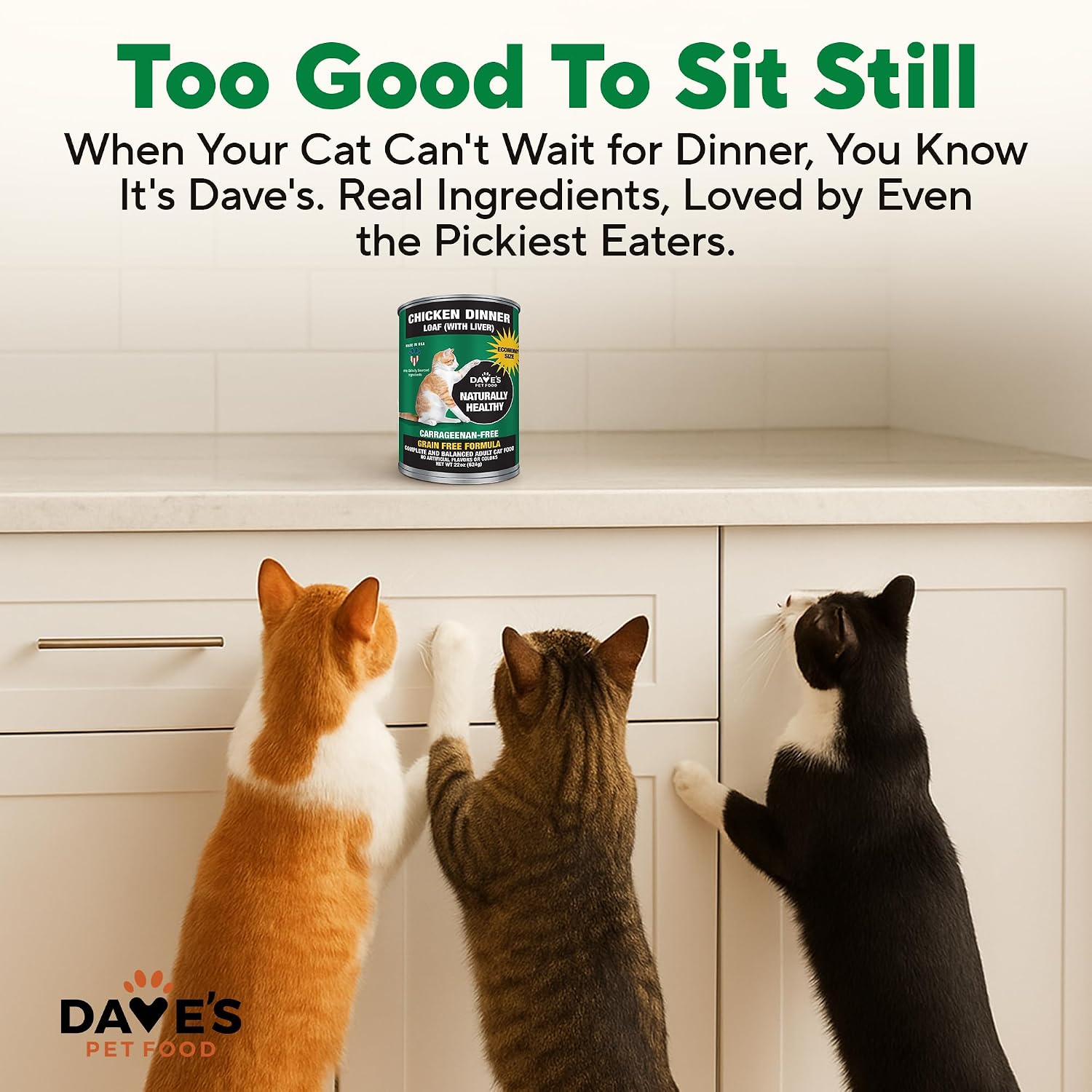 Dave's Pet Food Grain Free Wet Canned Cat Food Pate, Chicken, 12.5 oz, 12pk | Made in USA, Naturally Healthy, Easy to Digest Wheat & Gluten-Free, Use as Topper or Meal, Carrageenan-Free