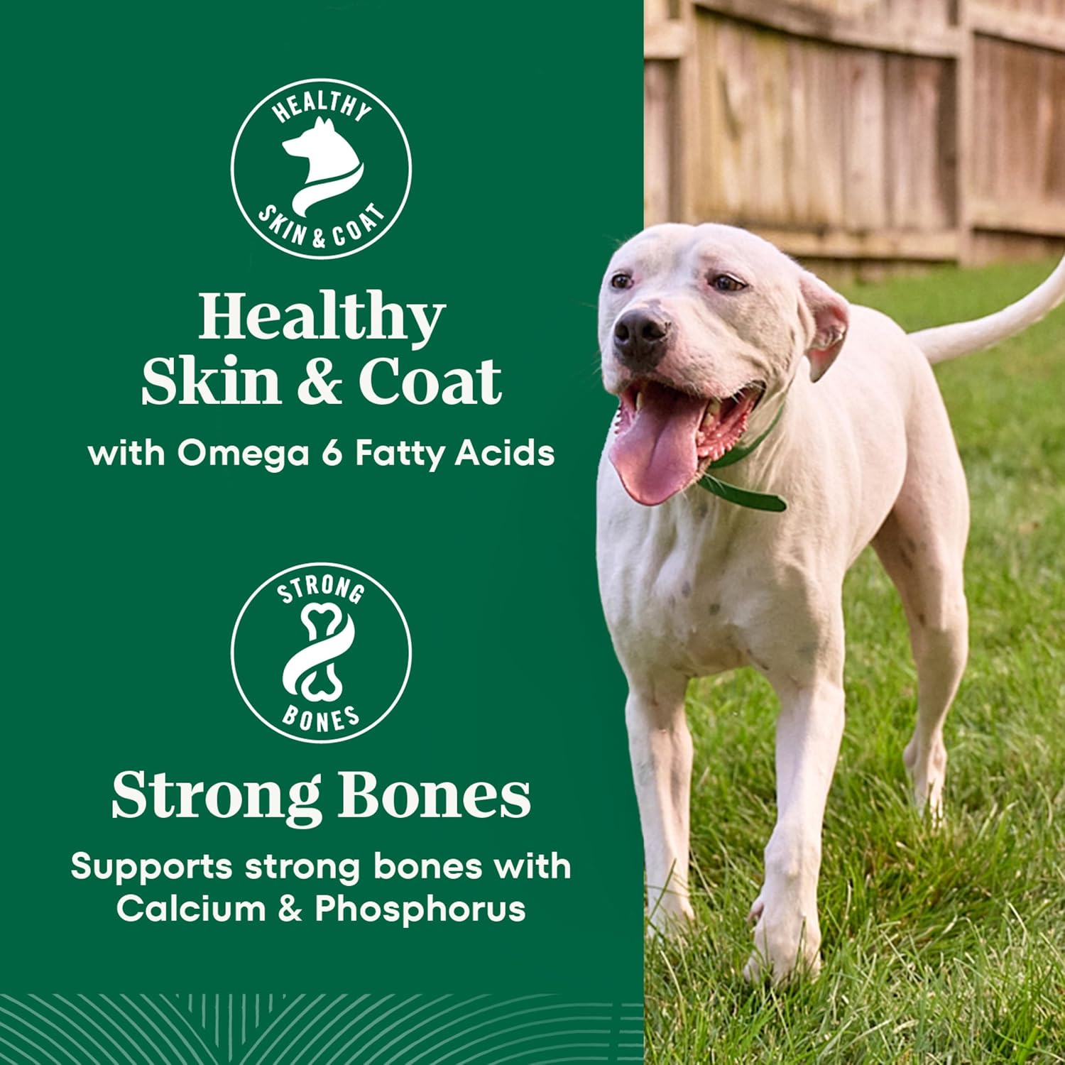 Nutro Natural Choice Healthy Weight Dry Dog Food, Chicken & Rice, 30 lb | Non-GMO, Chicken #1 ingredient, no corn, wheat, soy, supports weight loss, skin & coat, digestive & immune health