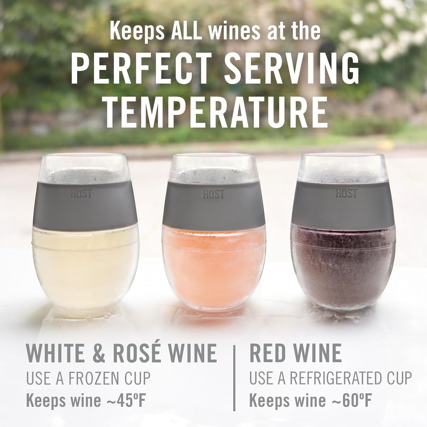 Host Wine Freeze Cup Set of 2 - Plastic Double Wall Insulated Drink Cup, Freezable Vacuum Insulated Wine Glasses, 8.5 oz Blue