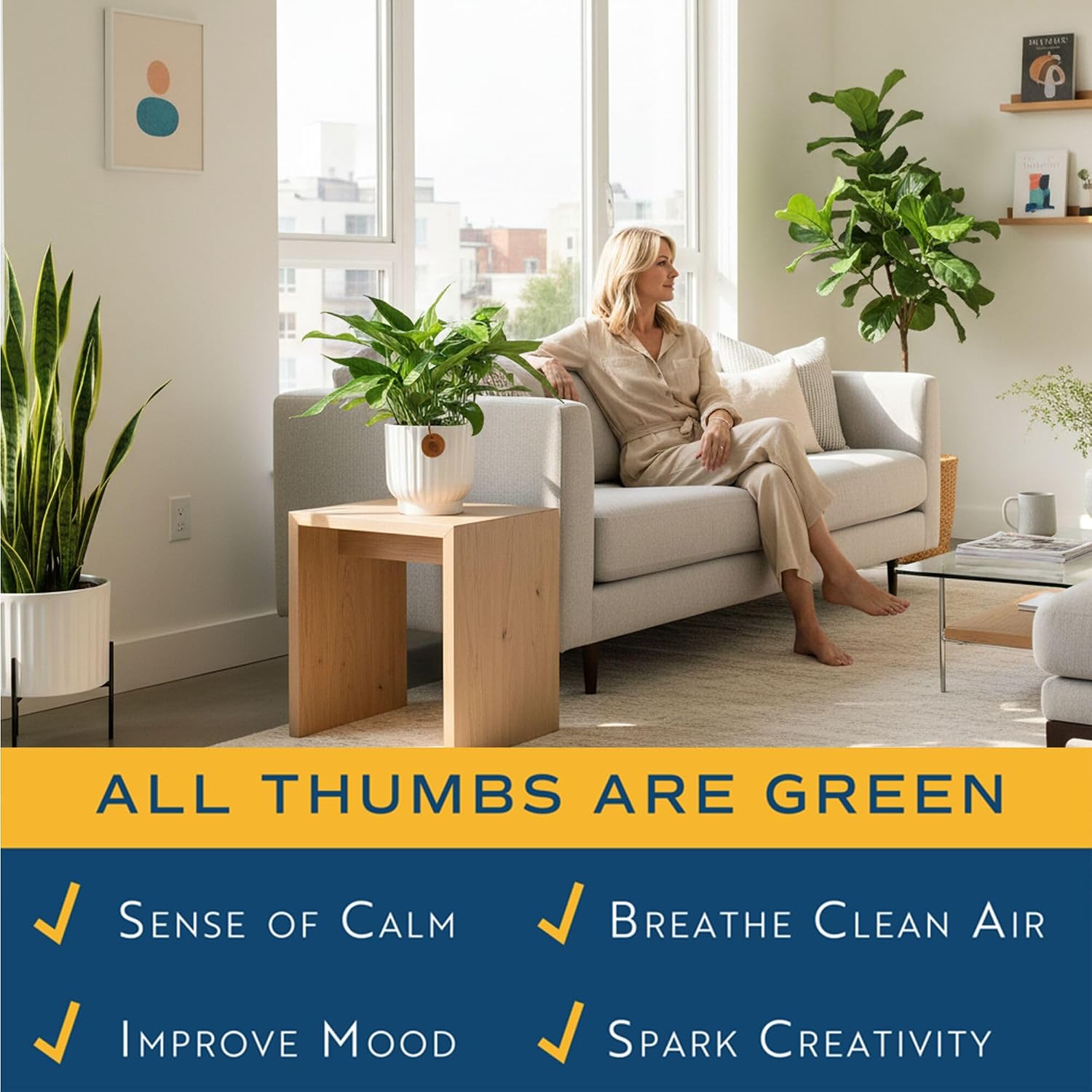 Costa Farms Golden Pothos, Live Indoor Plant, Trailing Vine, Air Purifying | Fast-growing trailing vine, one of the easiest to grow. Great indoor houseplant. Ideal housewarming or birthday gift.