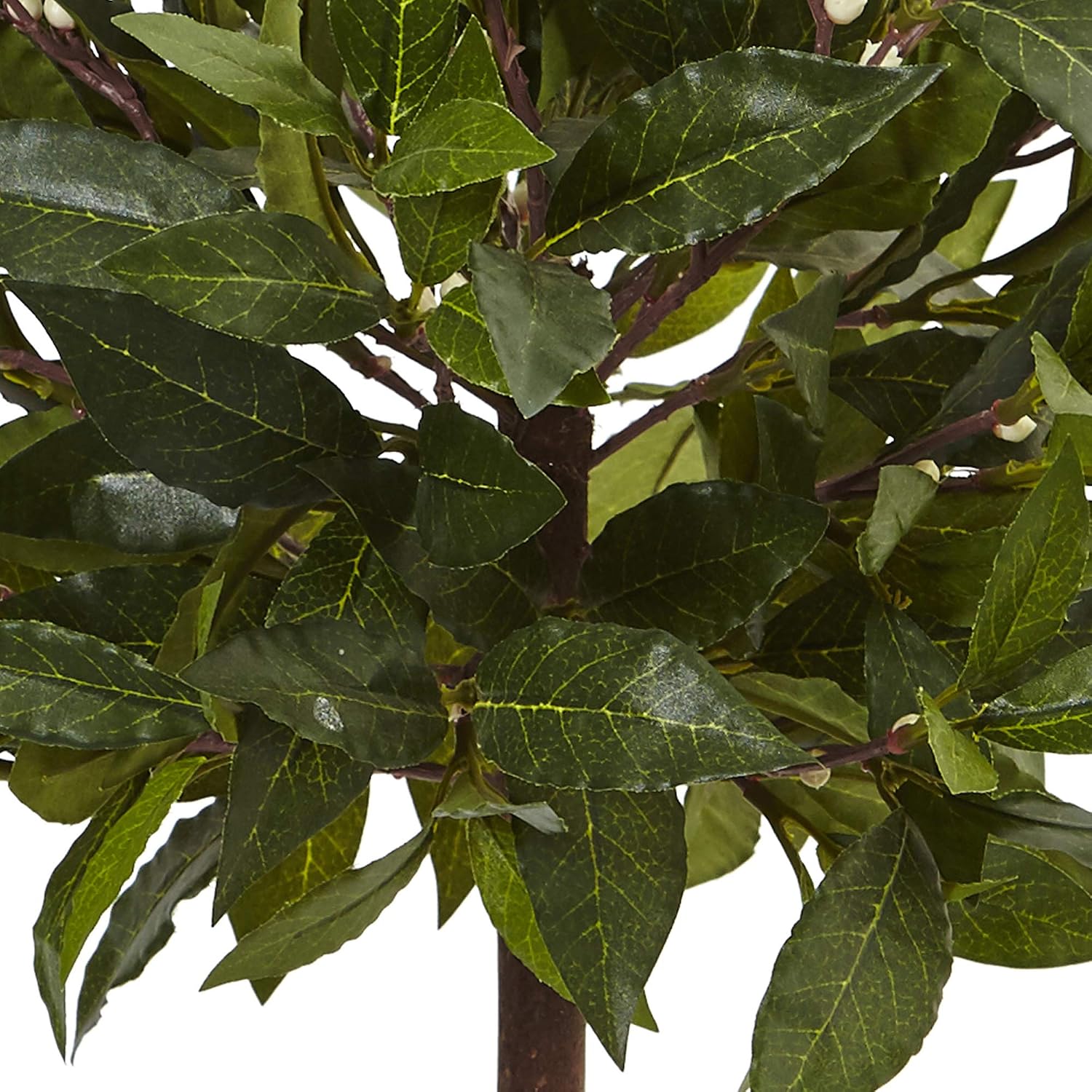 Nearly Natural 2ft. Sweet Bay Artificial Tree in White Glossy Cylinder
