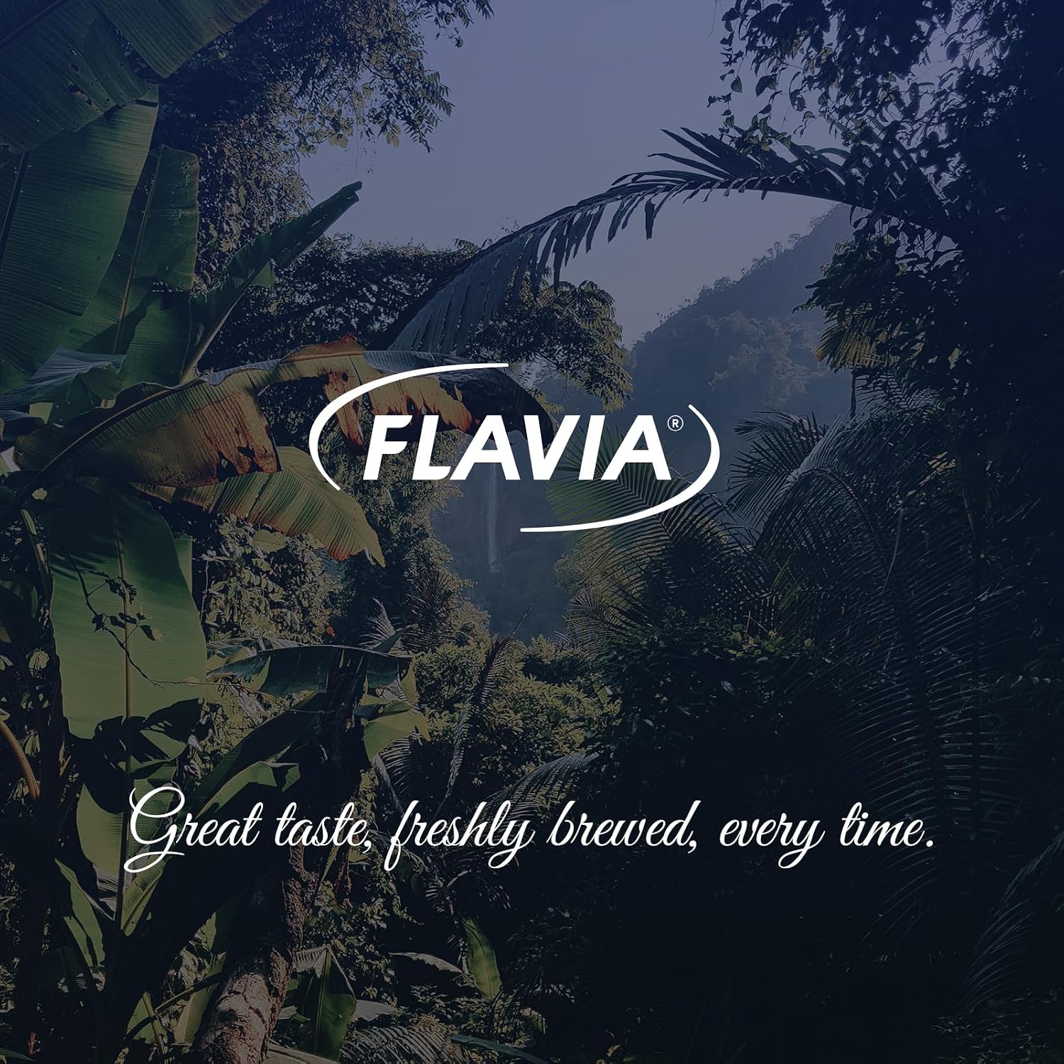 Flavia Alterra French Roast Coffee Freshpacks compatible only with Flavia Brewers, Dark Roast (Case of 100)