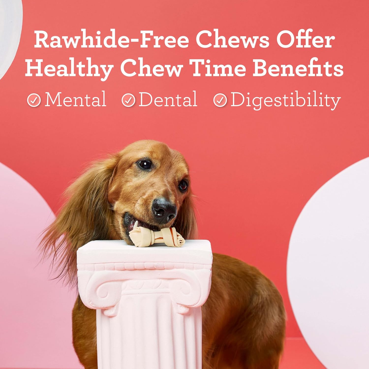 DreamBone Mini Bone Rawhide-Free Dog Treats With Real Protein, 24 Count | Daily Chew, Digests Safely and Completely, Made With Real Protein, Chicken and Veggies, For Adult Dogs