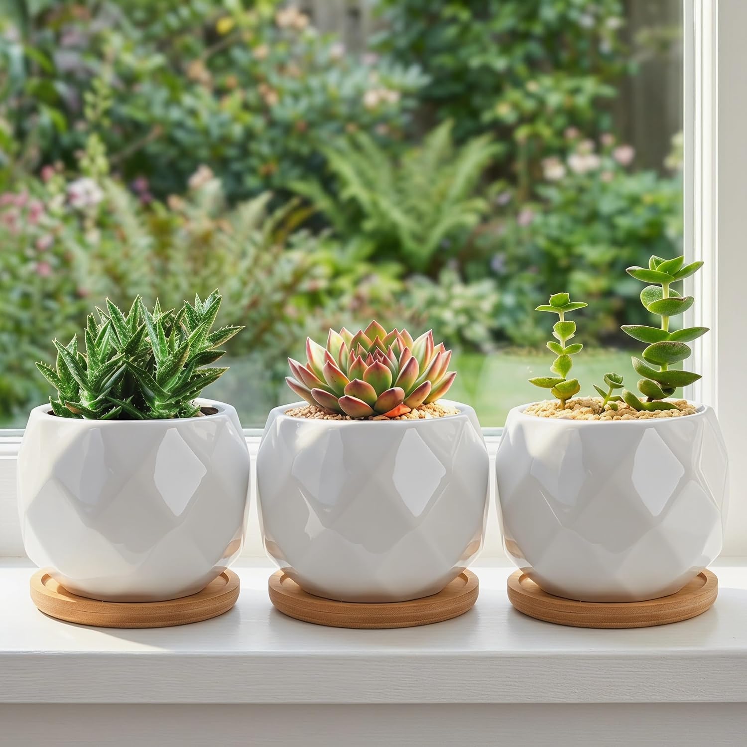 Jucoan 6 Pack Ceramic Succulent Planter Pot with Bamboo Tray
