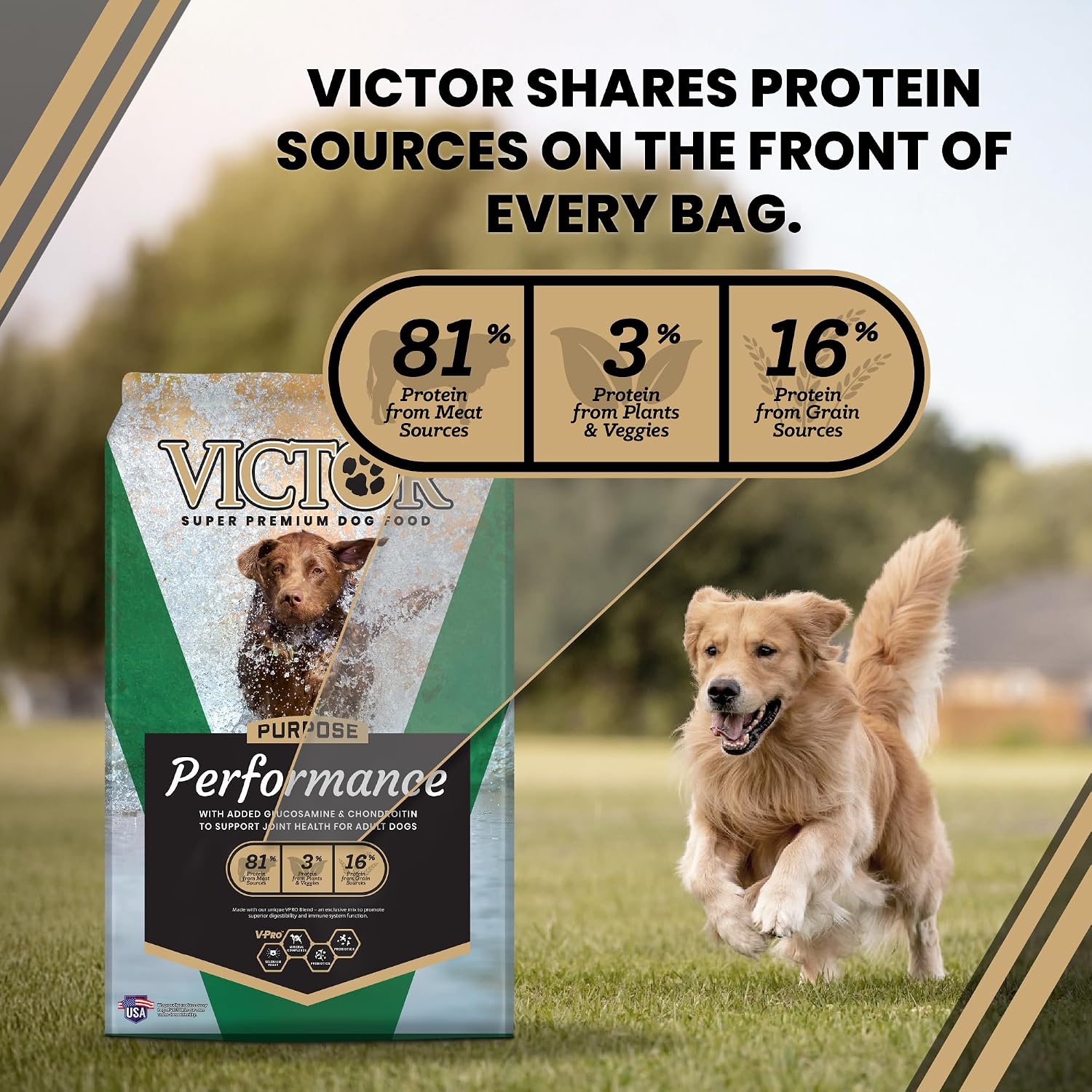 VICTOR Performance Dry Dog Food - Beef, Chicken & Pork Meal, 40 lb | Super Premium Dog Food, 26% Protein, For Active Adult Dogs, Includes Glucosamine and Chondroitin for Hip & Joint Health