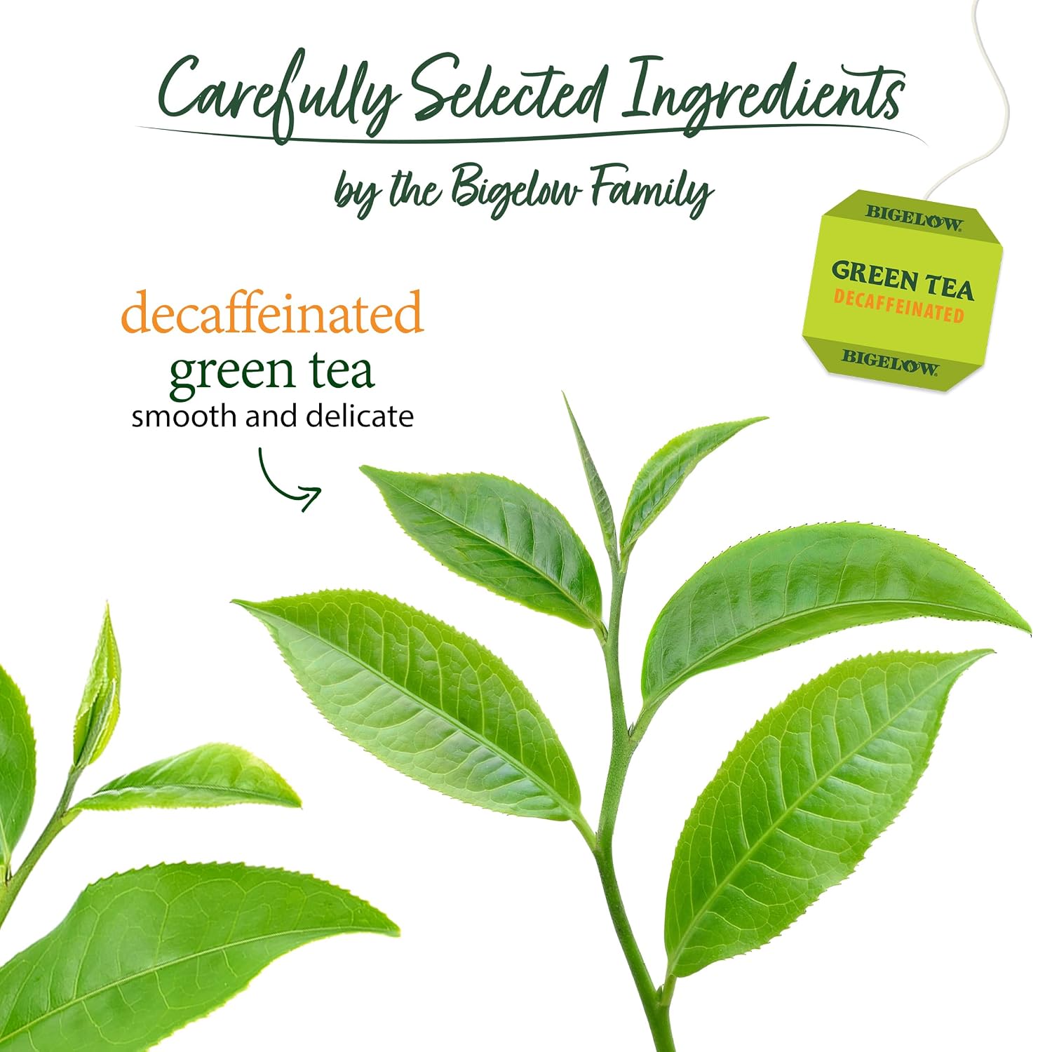 Bigelow Tea Classic Green Tea Bags, 40 Count (Pack of 6)
