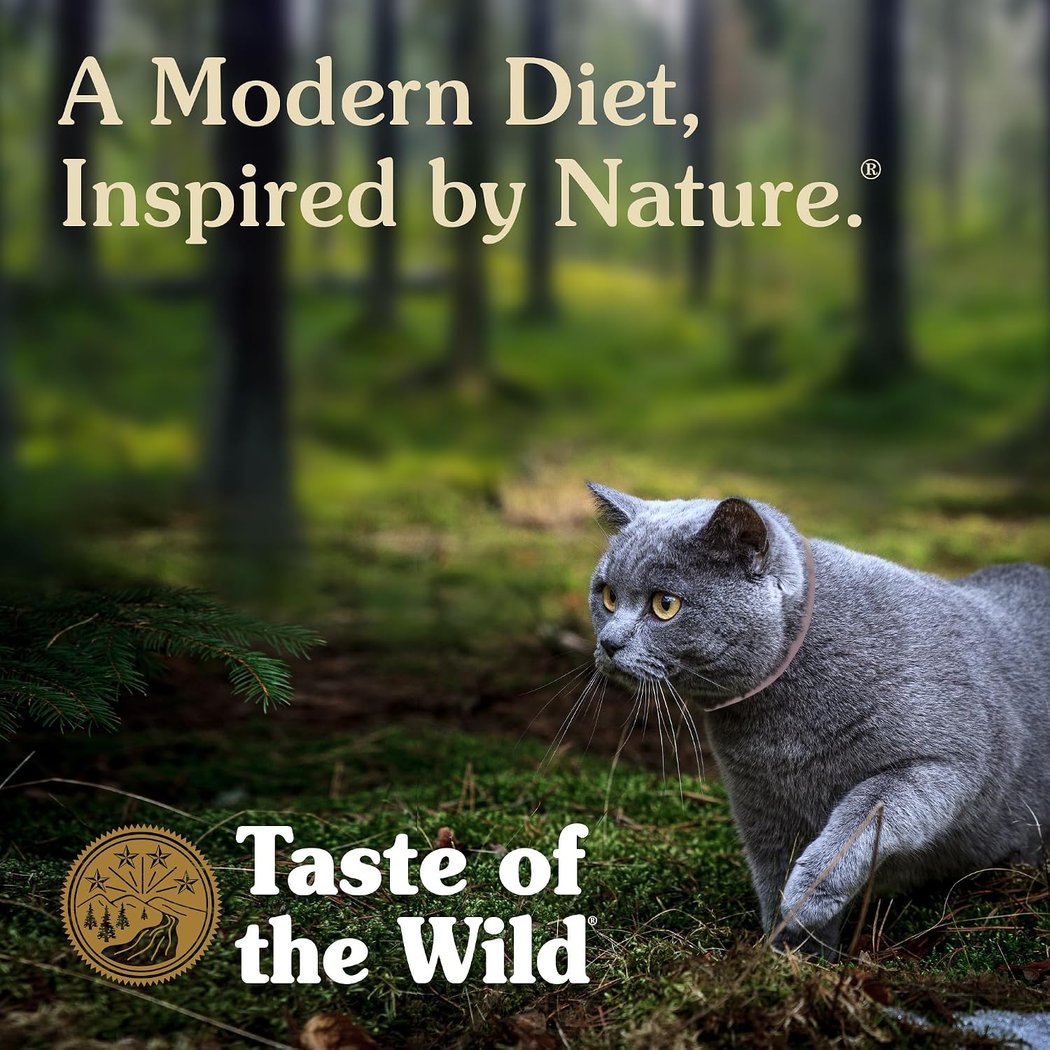 Taste of the Wild Rocky Mountain Dry Cat Food, Roasted Venison, 5lb | Kitten, Adult & Senior Cats | High Protein | Grain Free Recipe* | Nutrient Dense to Help Support Peak Health