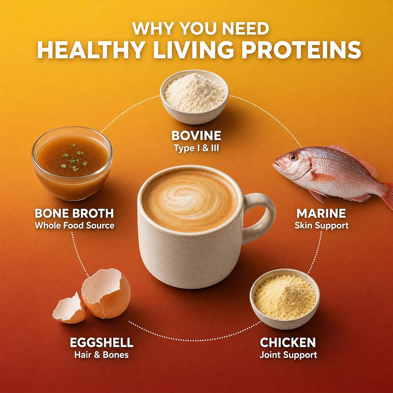 Healthy Living Proteins | Multi Hydrolyzed Collagen Peptides Type I, II, III, V, & X | Grass Fed Bovine, Wild Caught Marine, Free Range Chicken | Gluten Free (Unflavored, 1 Pound (Pack of 1))