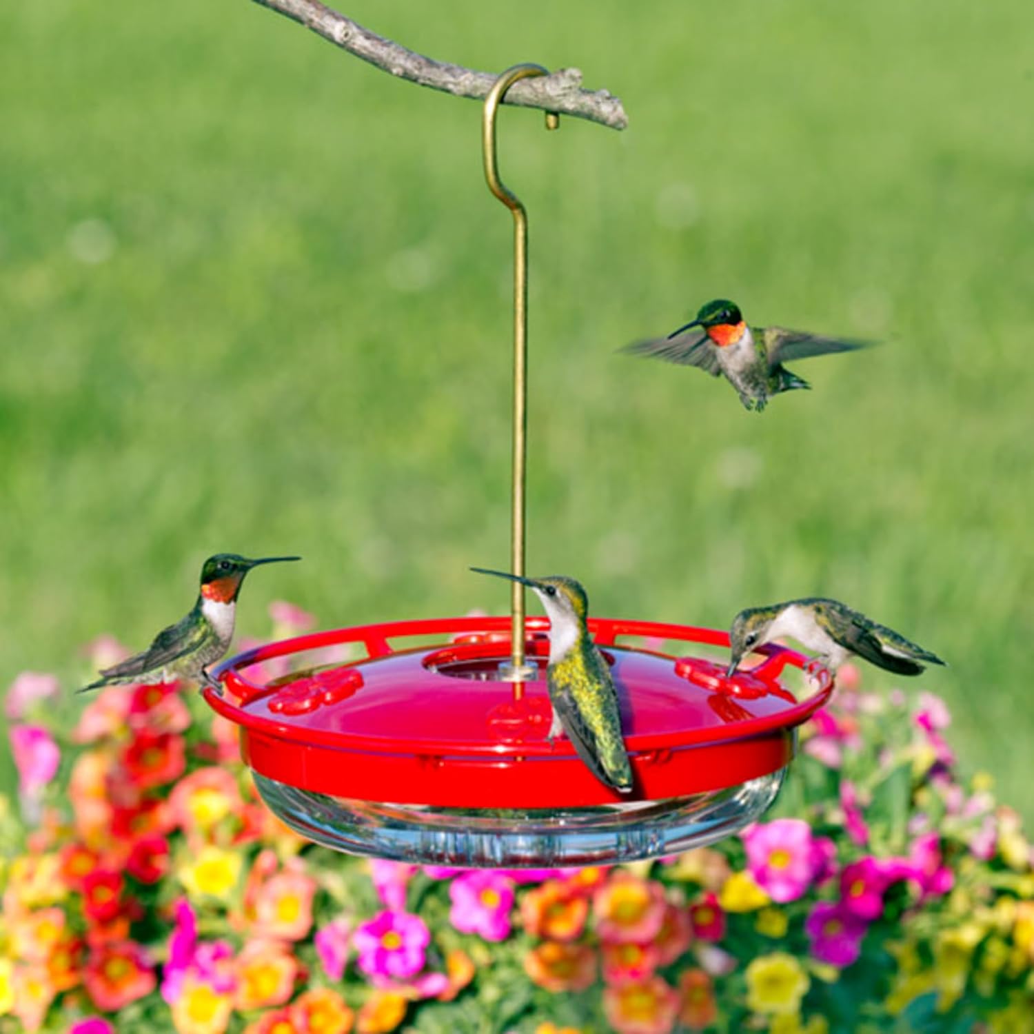 Aspects HummZinger Highview Hanging Hummingbird Feeder - 429, Red,12 oz (Pack of 2)