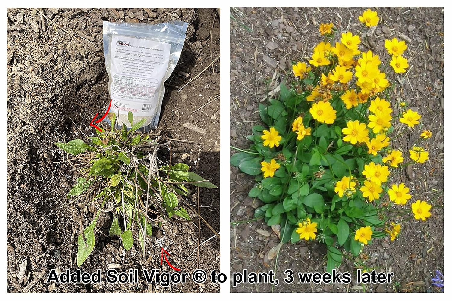 5 Pounds Soilmoisture Trap Super Absorbent Hydro Gel Granules Polymer with Humic Acid; Soil Vigor (Tm)