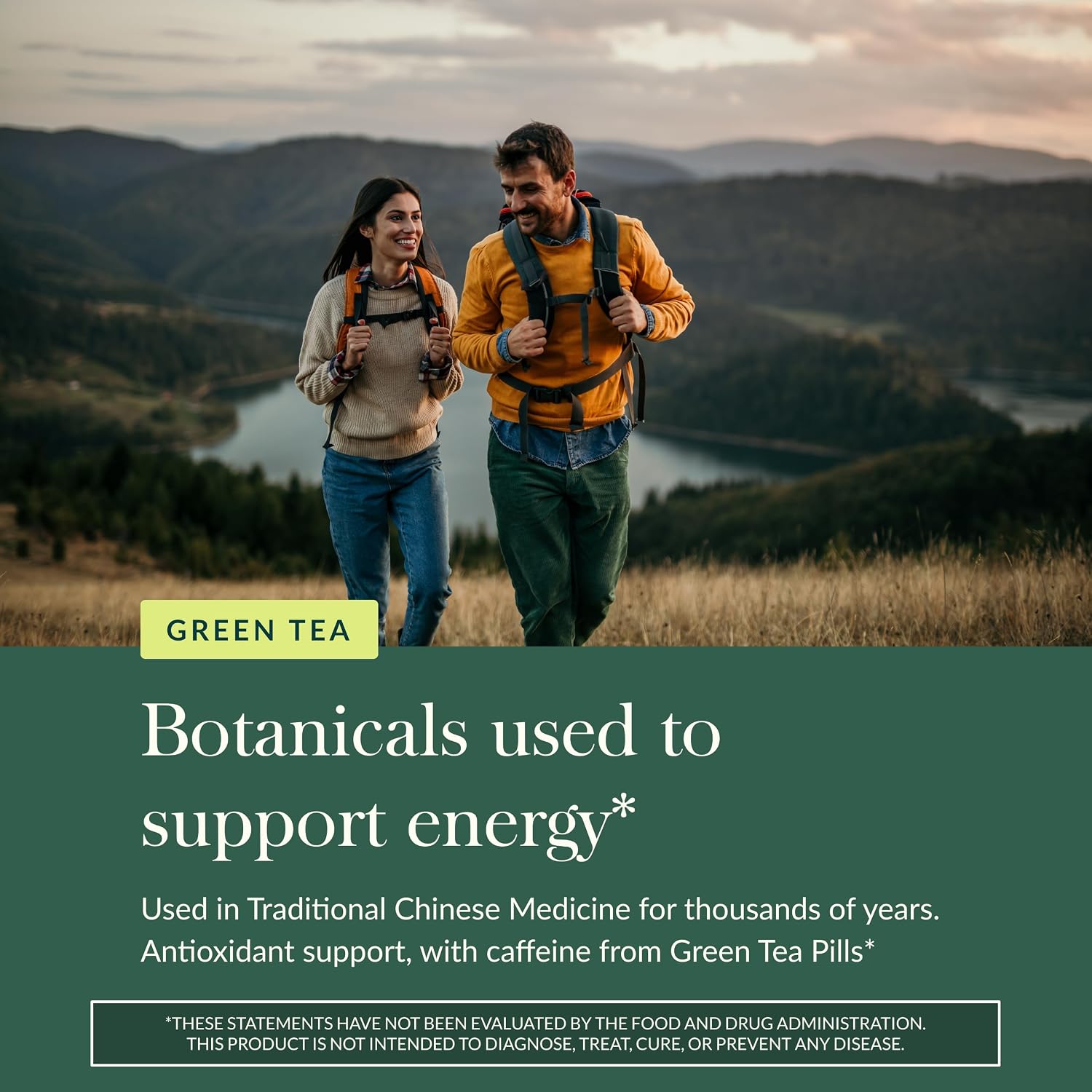Gaia Herbs Green Tea - Helps Maintain Healthy Energy Levels* - with Green Tea Leaf & Extract - 60 Vegan Liquid Phyto-Caps (30 Servings)