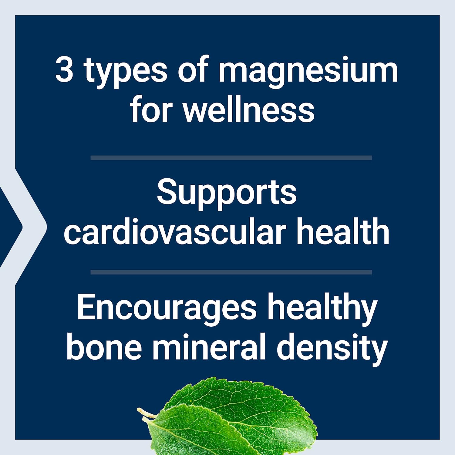 Life Extension Magnesium Caps, 500 mg, Magnesium Oxide, Citrate, and Succinate, Heart Health, Healthy Bones, Metabolism Support, 100 Vegetarian Capsules | Magnesium Oxide, Citrate & Succinate Blend for Heart Health, Healthy Bones & Metabolism, 100 Vegeta…